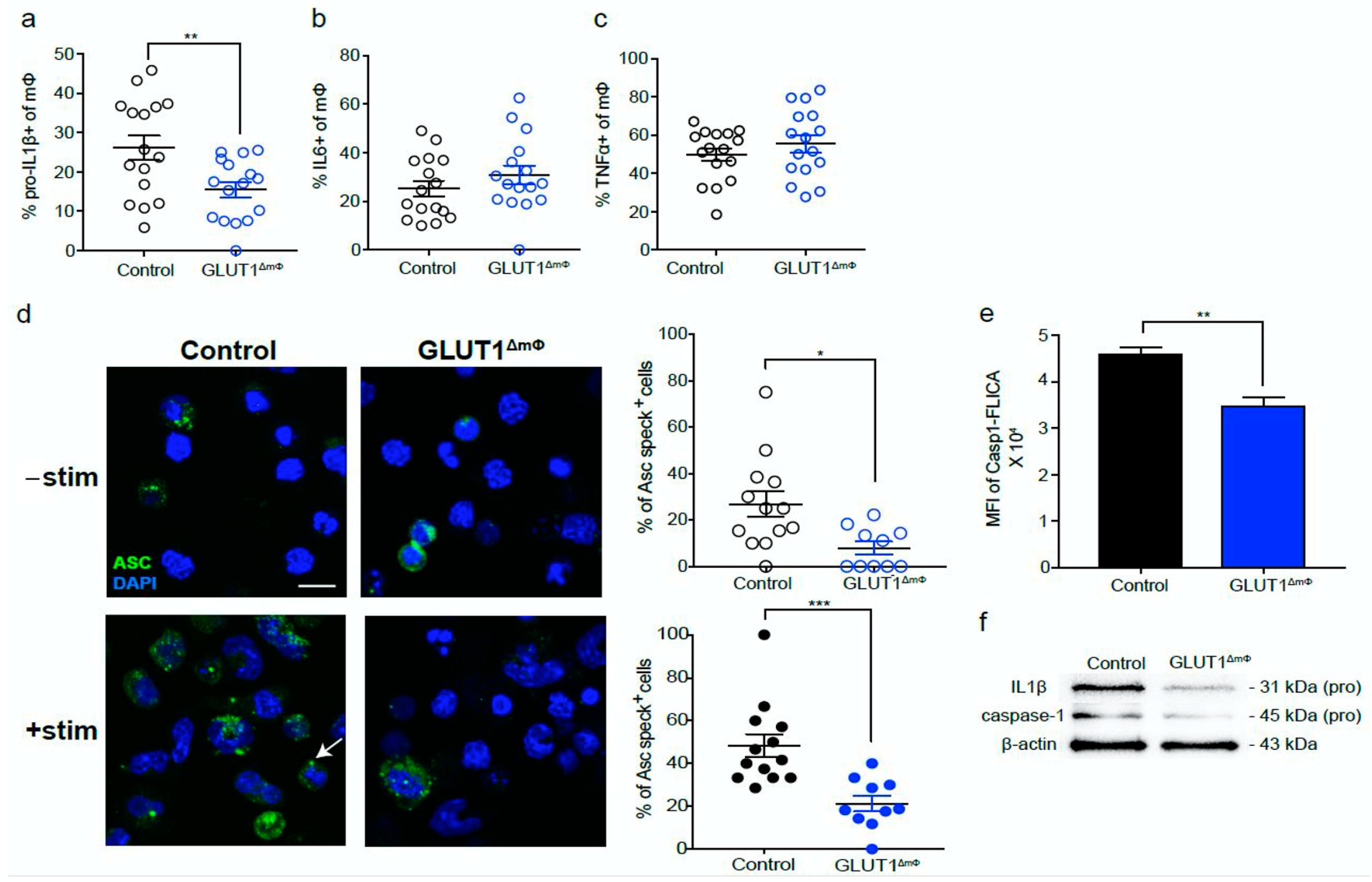 Ijms 22 06350 g003 Ijms 22 06350 g003