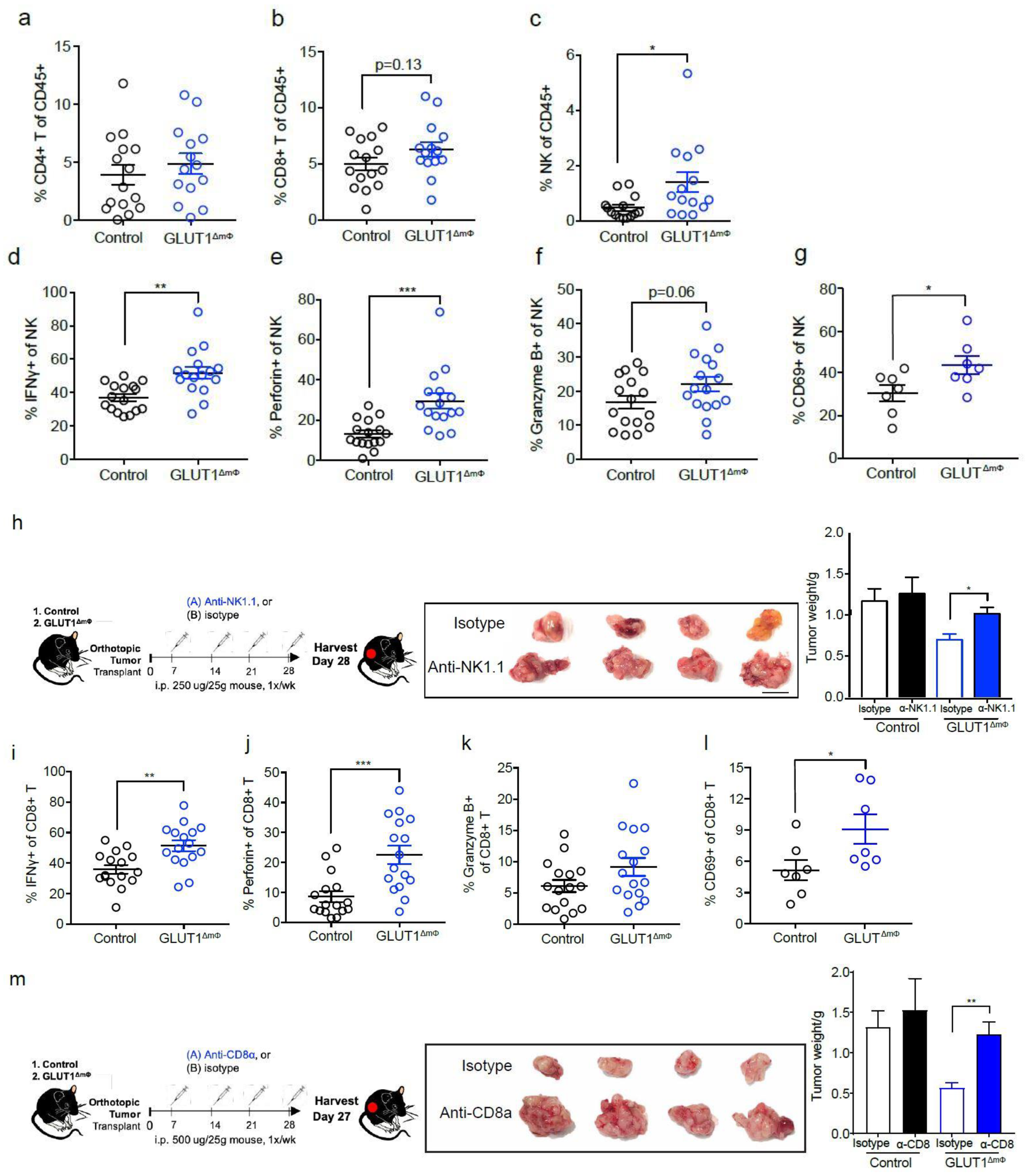 Ijms 22 06350 g004a Ijms 22 06350 g004a