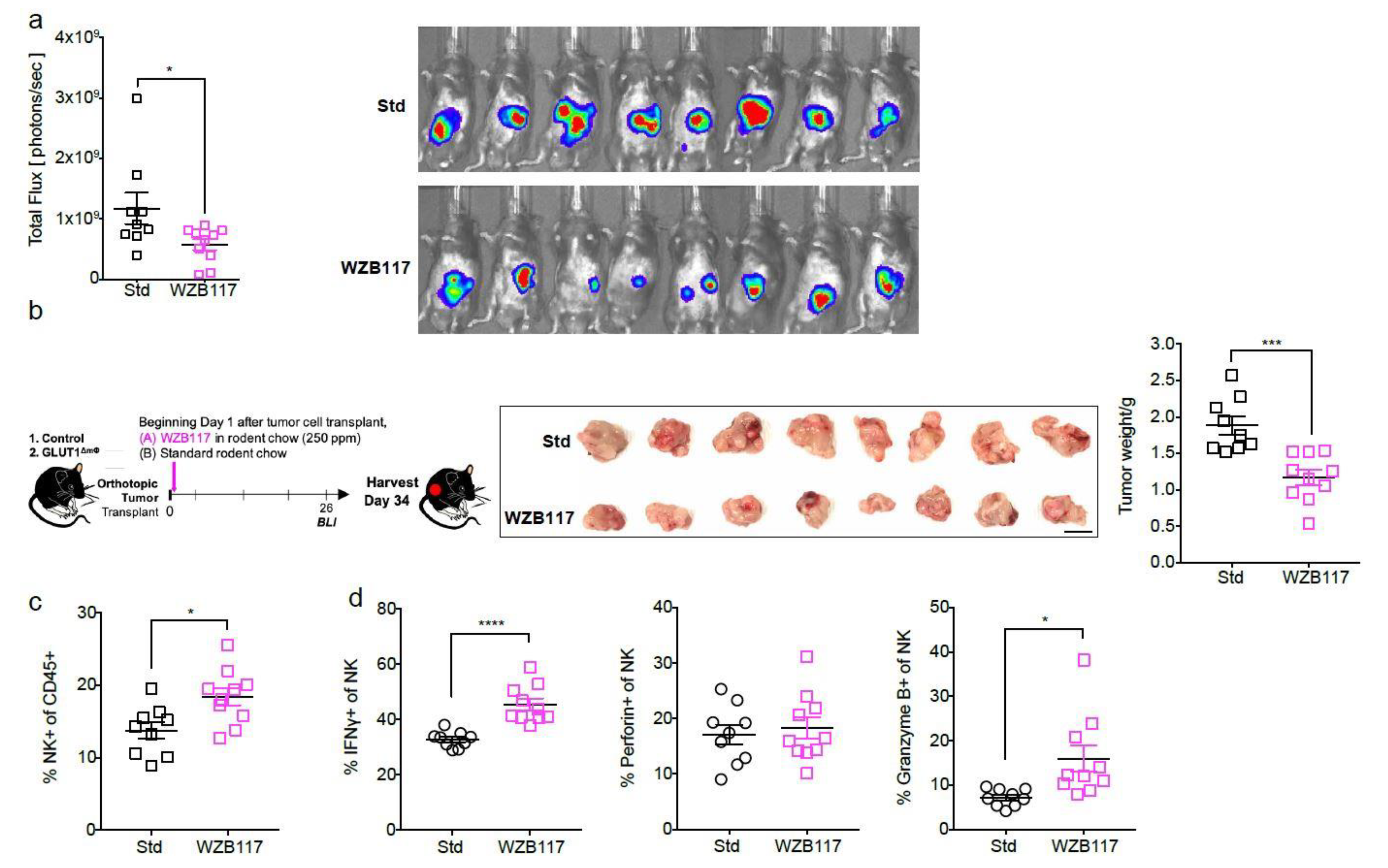 Ijms 22 06350 g005a Ijms 22 06350 g005a