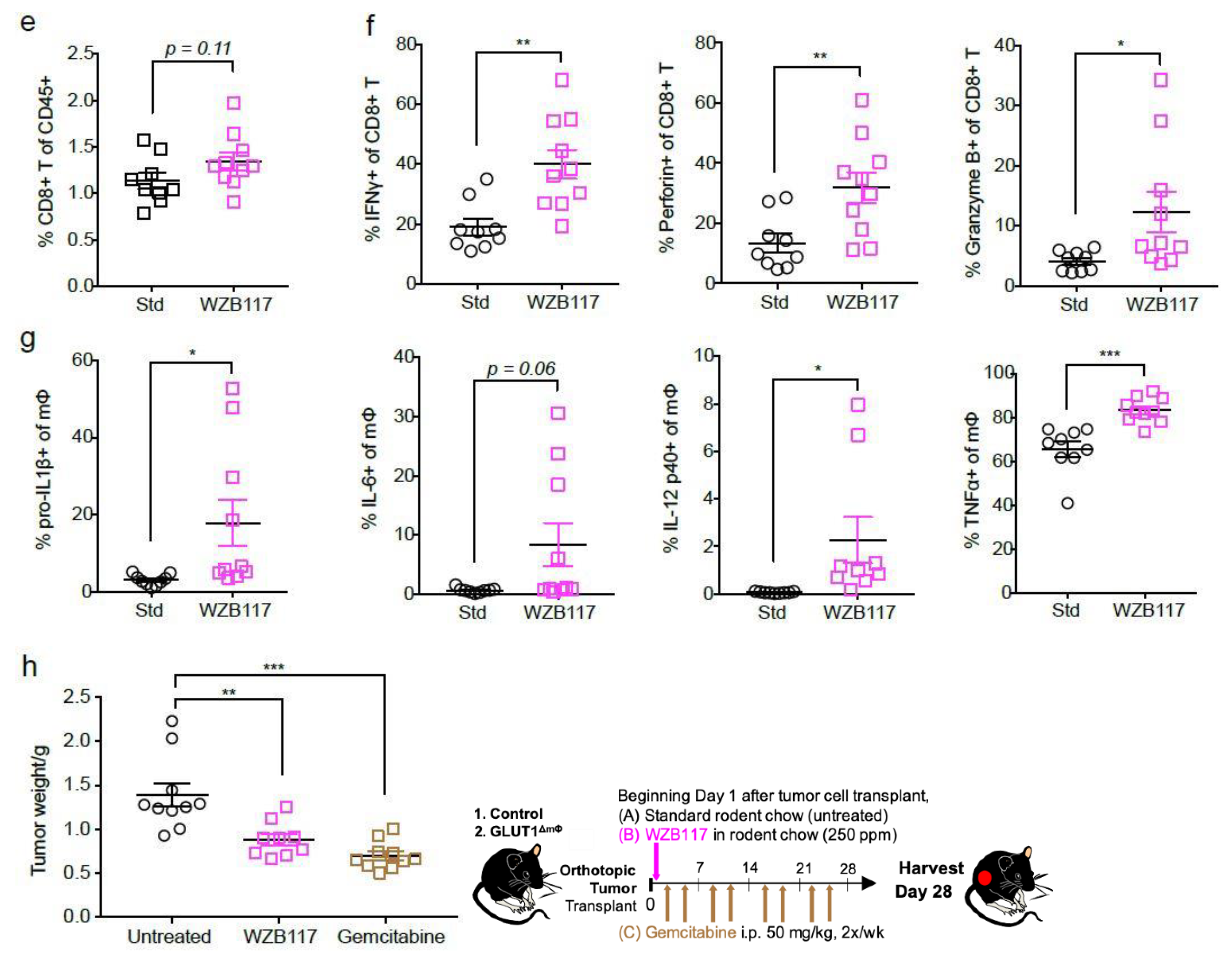 Ijms 22 06350 g005b Ijms 22 06350 g005b