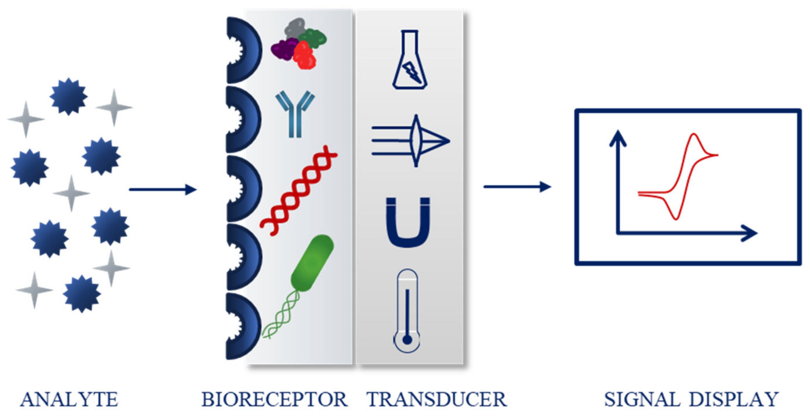 Ijms 22 06357 g002 Ijms 22 06357 g002