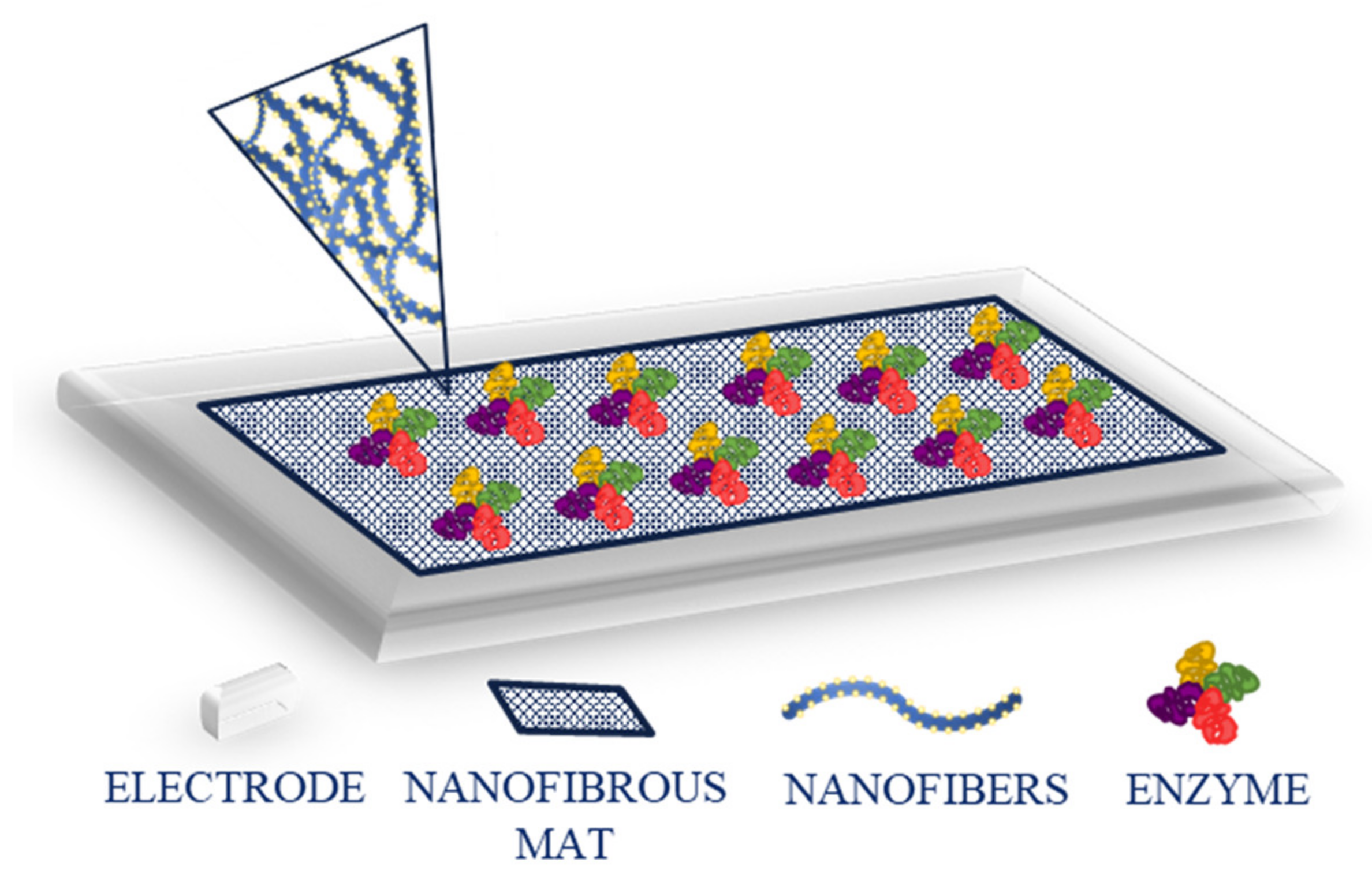 Ijms 22 06357 g003 Ijms 22 06357 g003