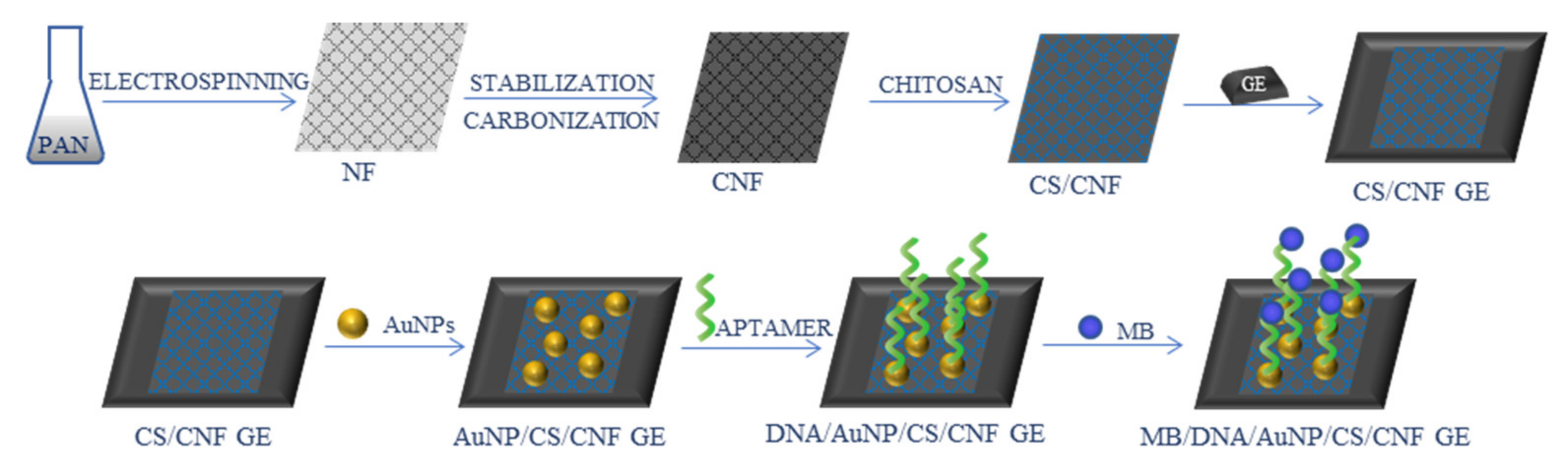 Ijms 22 06357 g009 Ijms 22 06357 g009