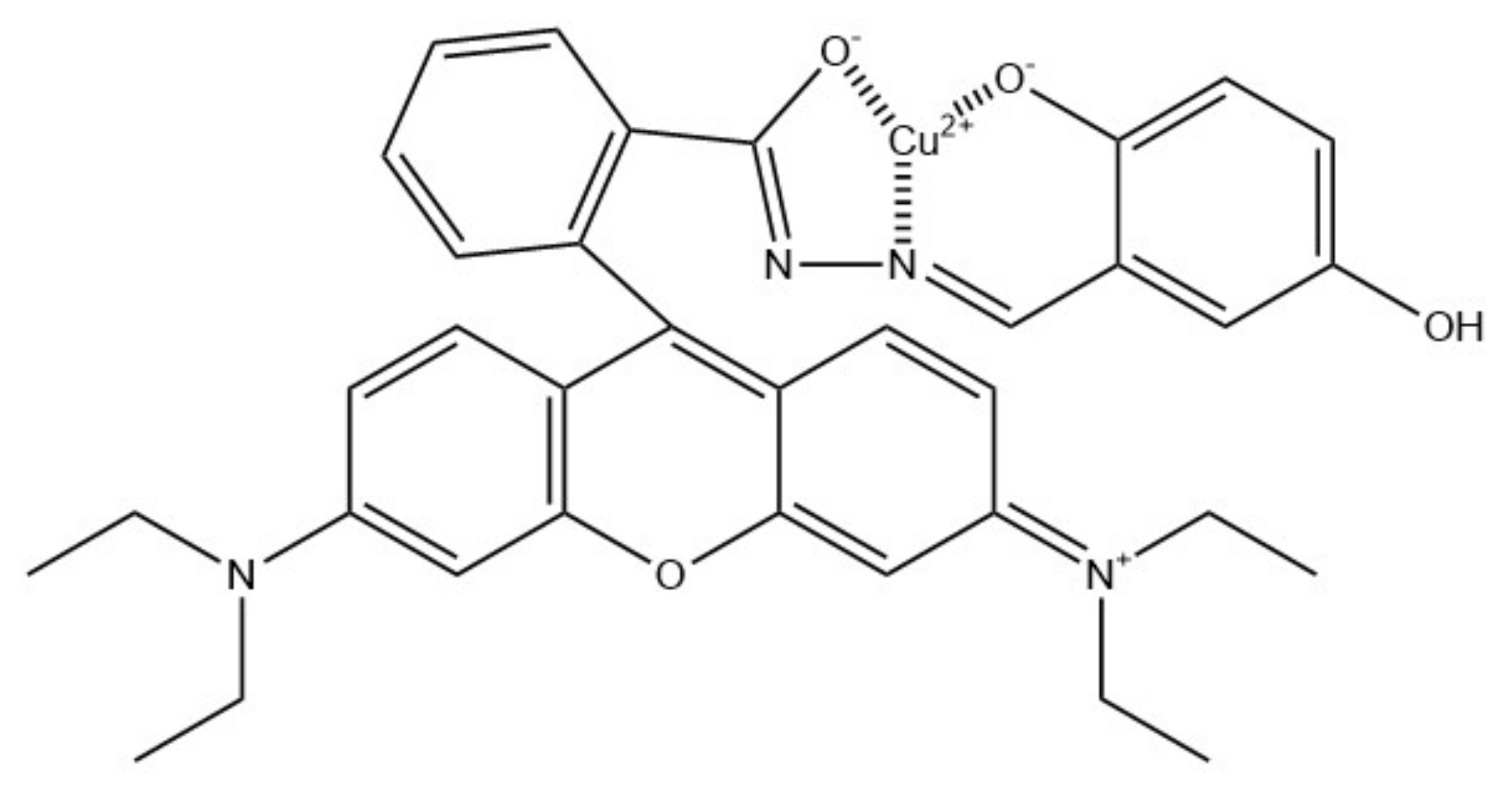 Ijms 22 06357 g013 Ijms 22 06357 g013