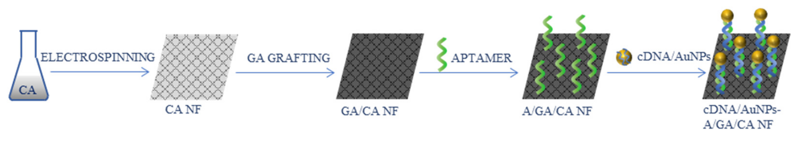 Ijms 22 06357 g014 Ijms 22 06357 g014