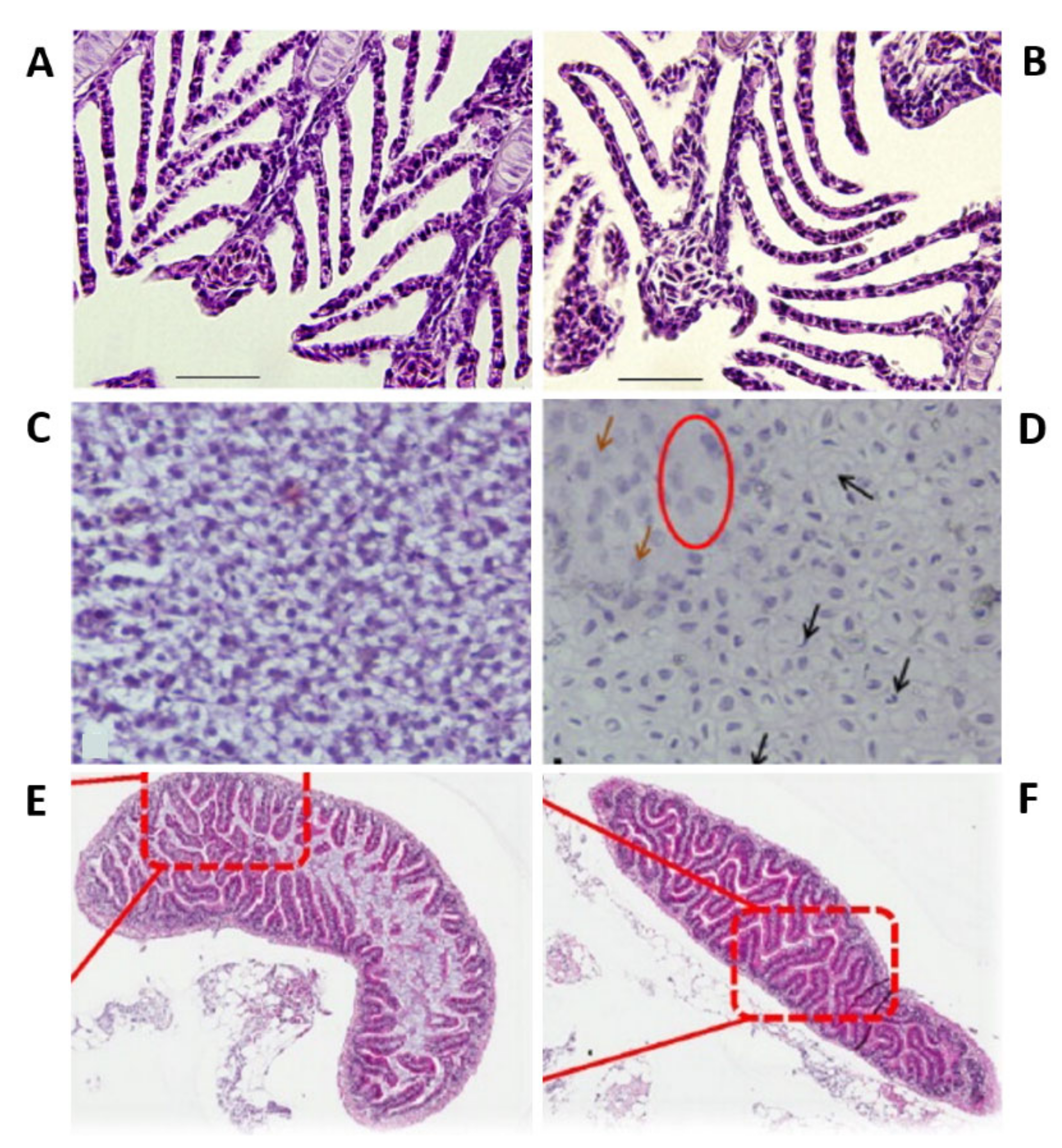 Ijms 22 06372 g003
