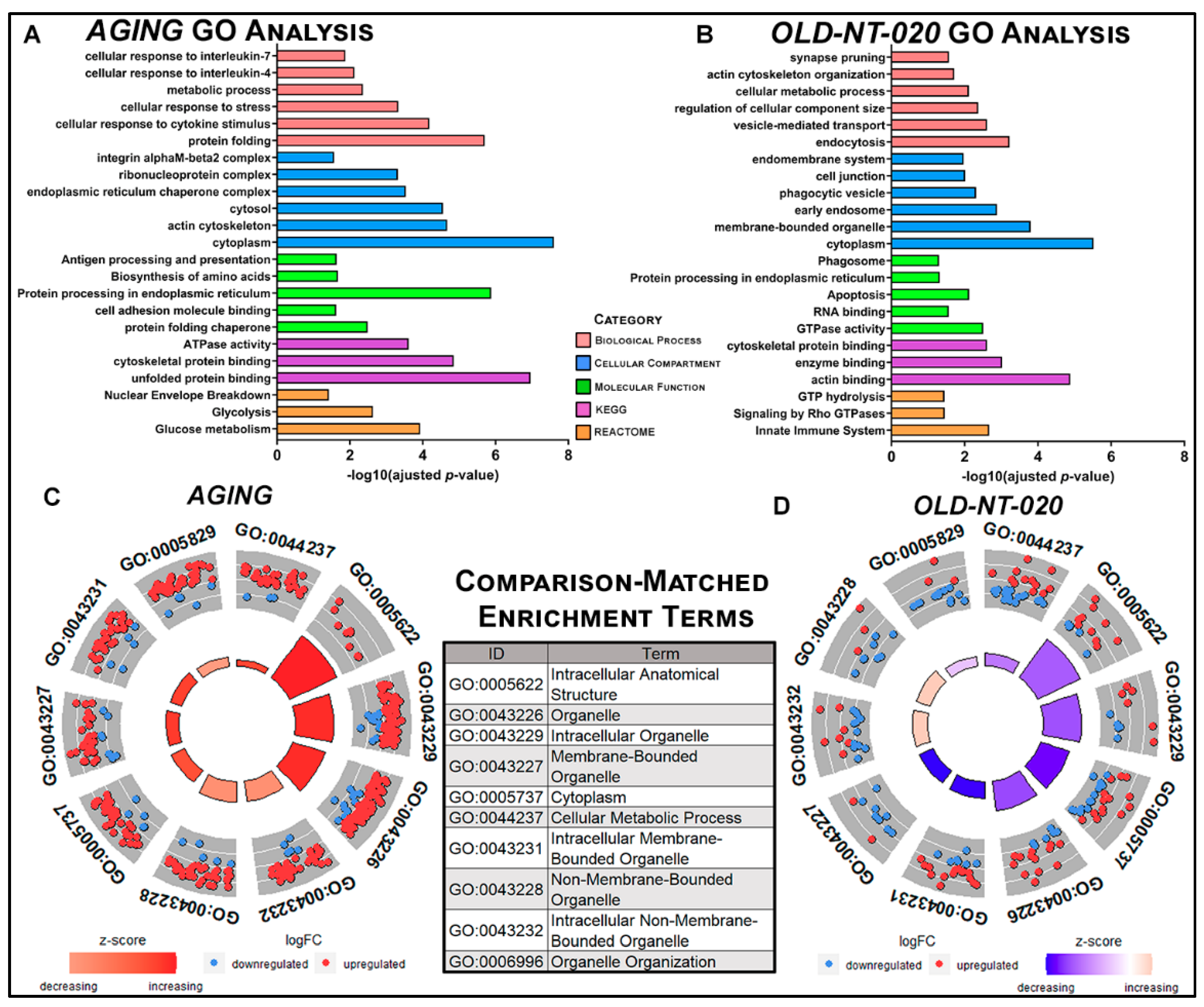 Ijms 22 06373 g002 Ijms 22 06373 g002