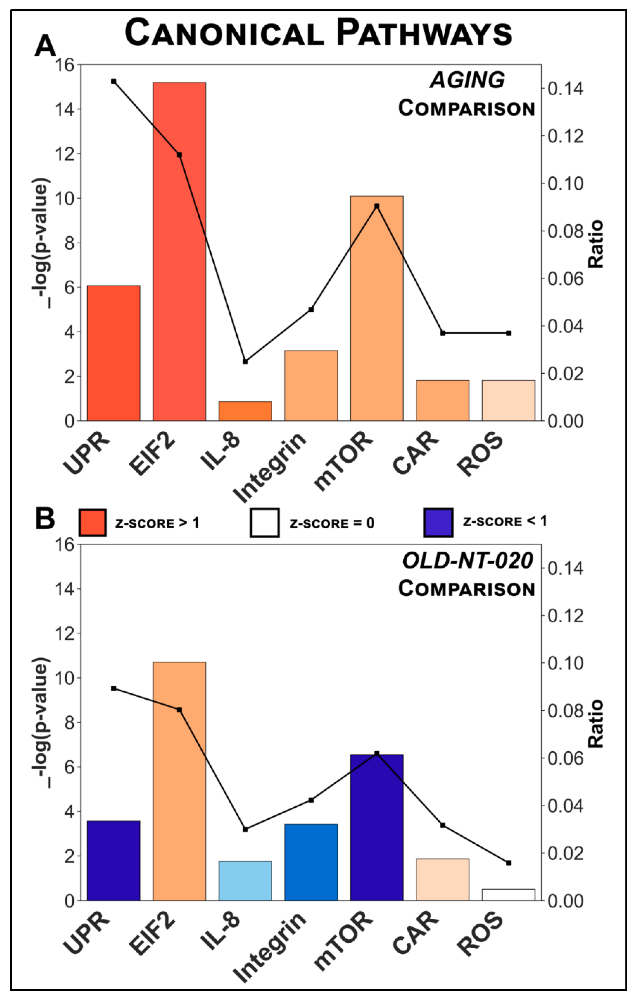 Ijms 22 06373 g003 Ijms 22 06373 g003