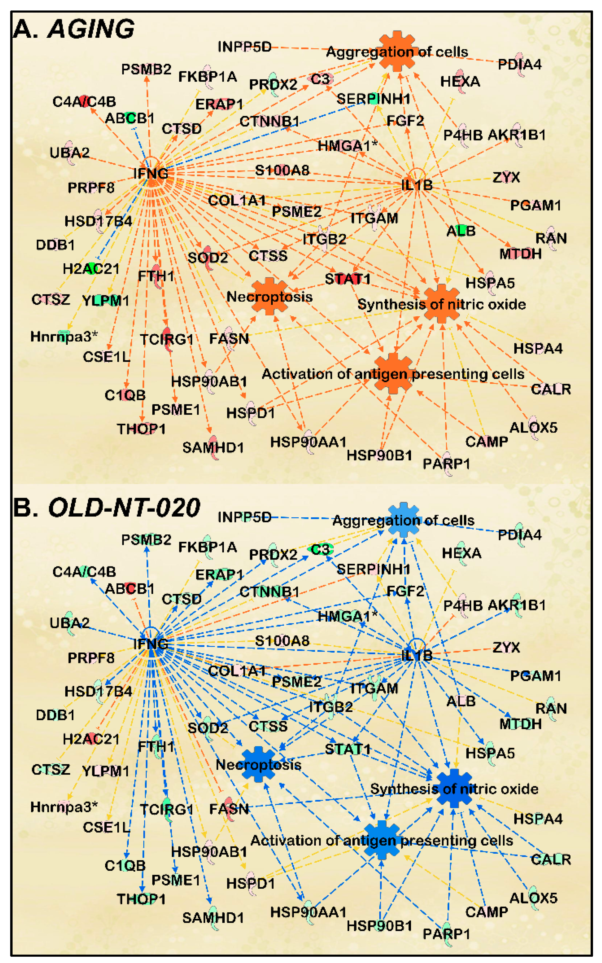 Ijms 22 06373 g004 Ijms 22 06373 g004