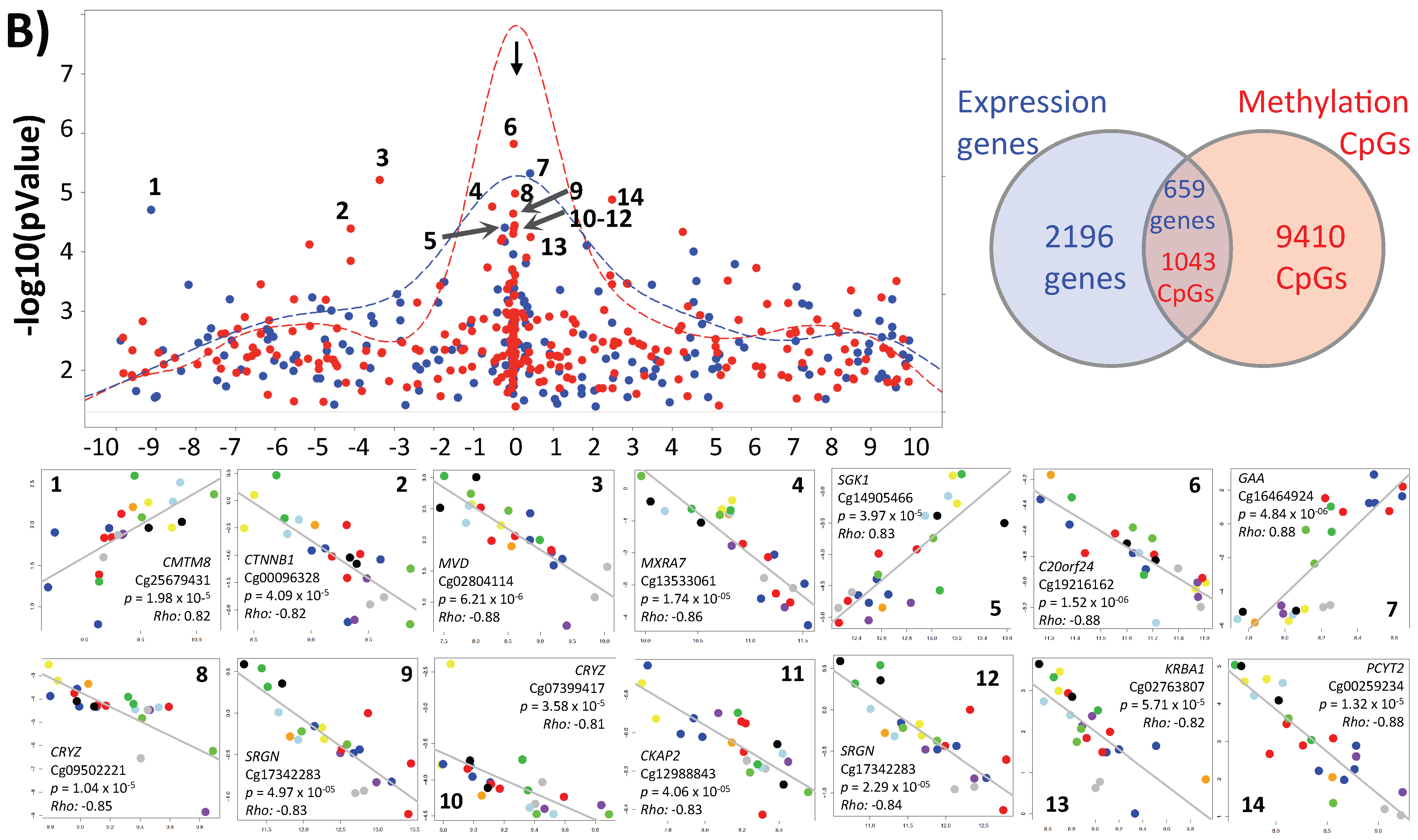 Ijms 22 06377 g001b Ijms 22 06377 g001b