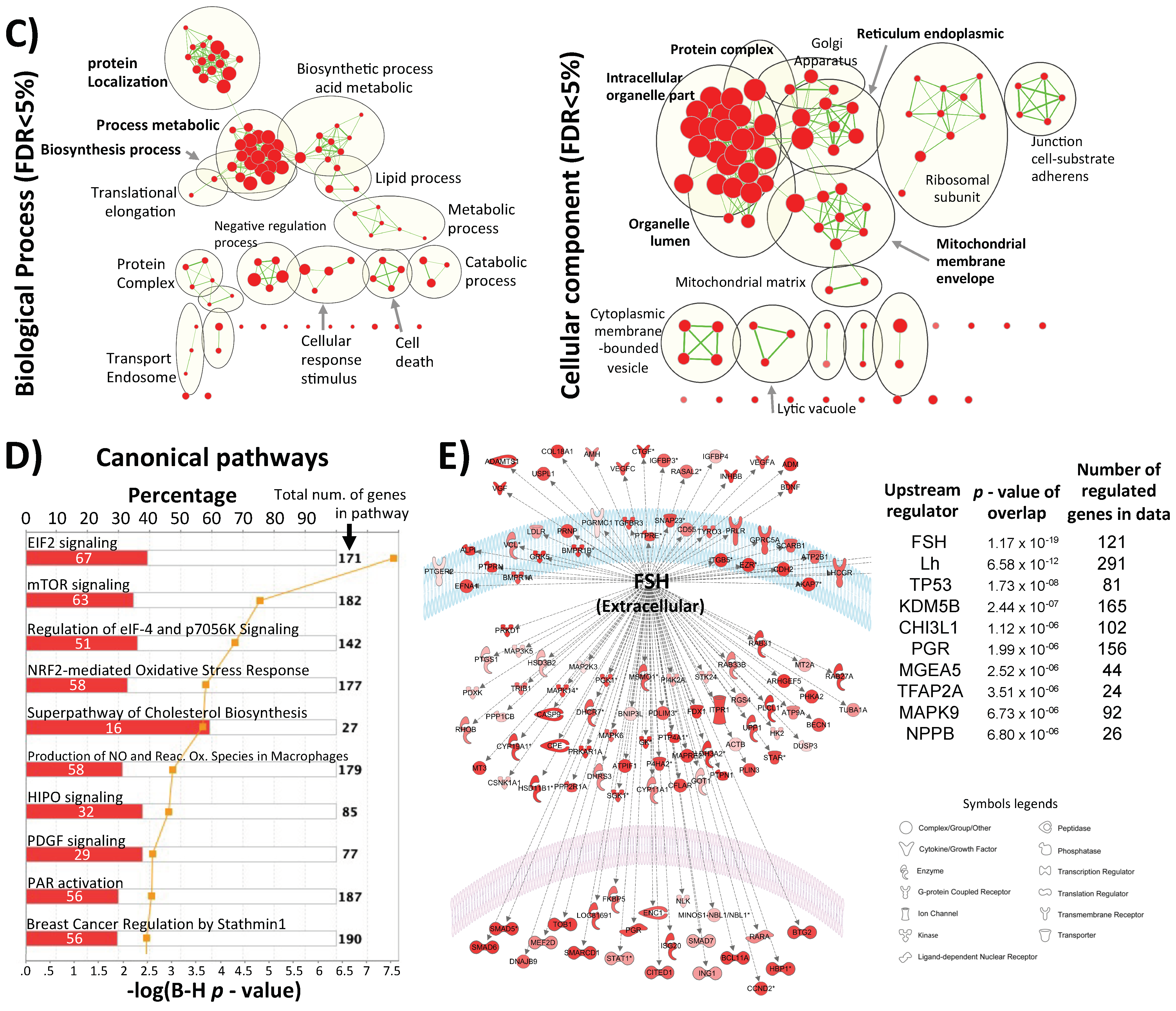 Ijms 22 06377 g001c Ijms 22 06377 g001c