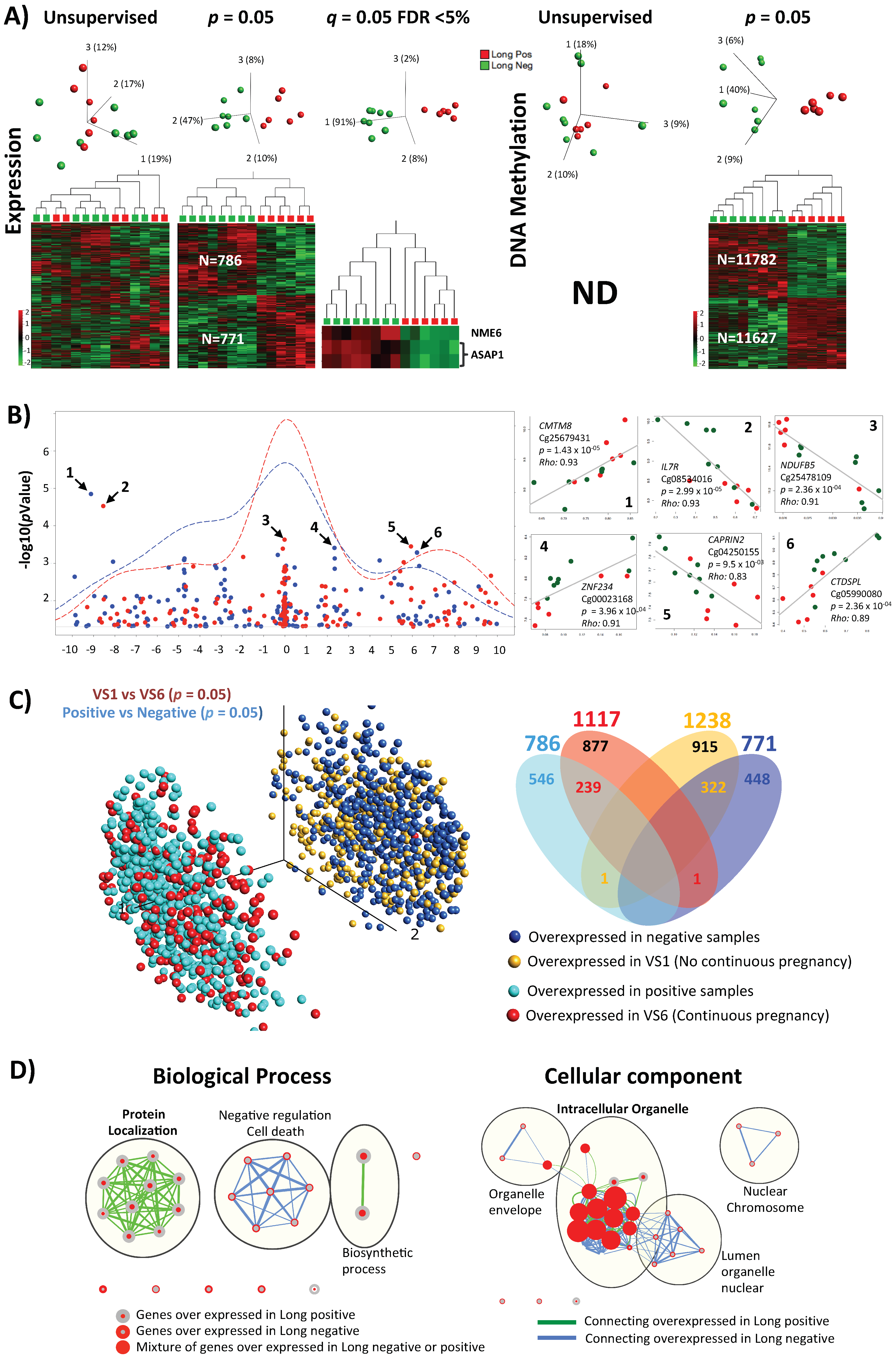 Ijms 22 06377 g002a Ijms 22 06377 g002a