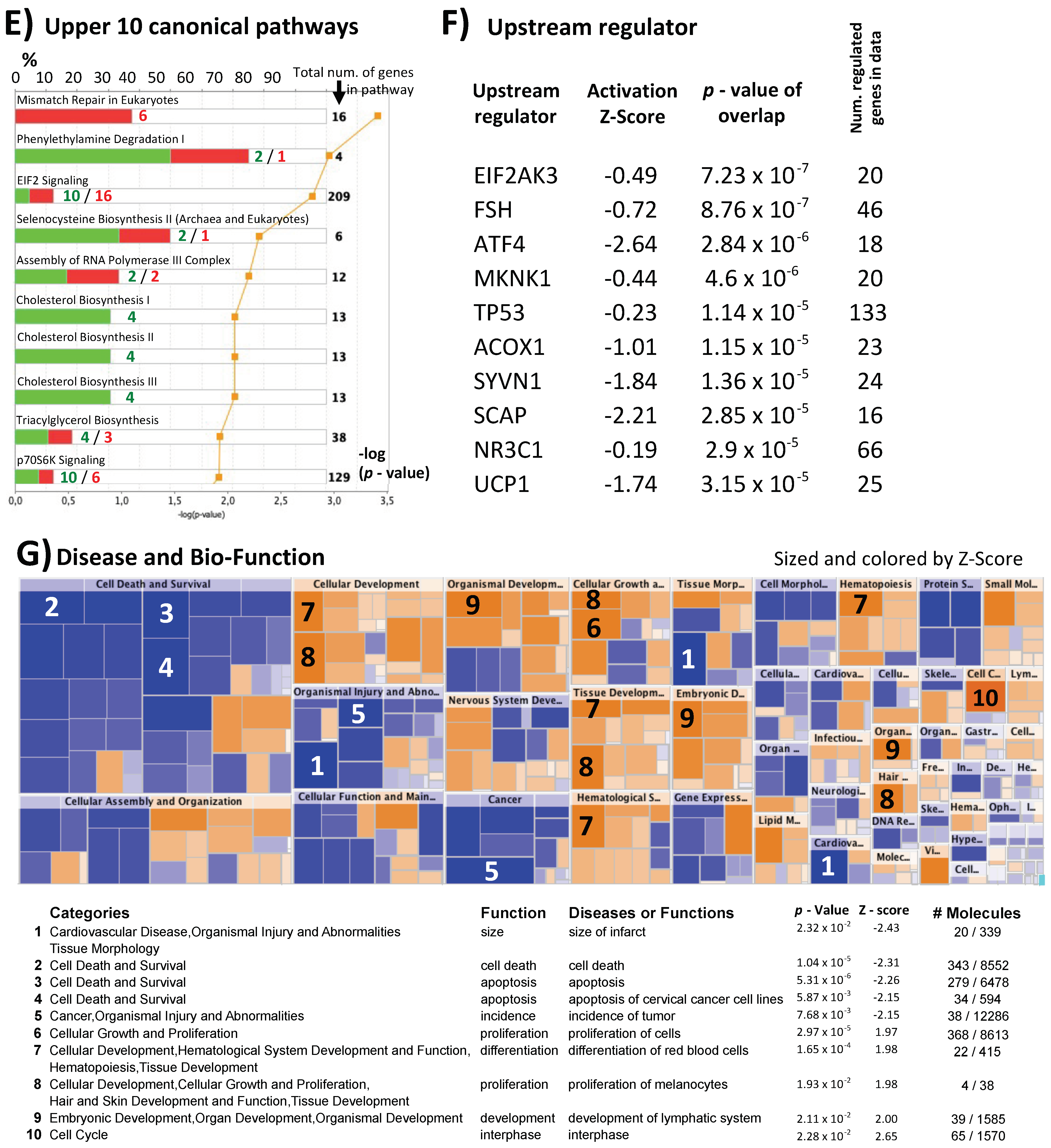 Ijms 22 06377 g002b Ijms 22 06377 g002b