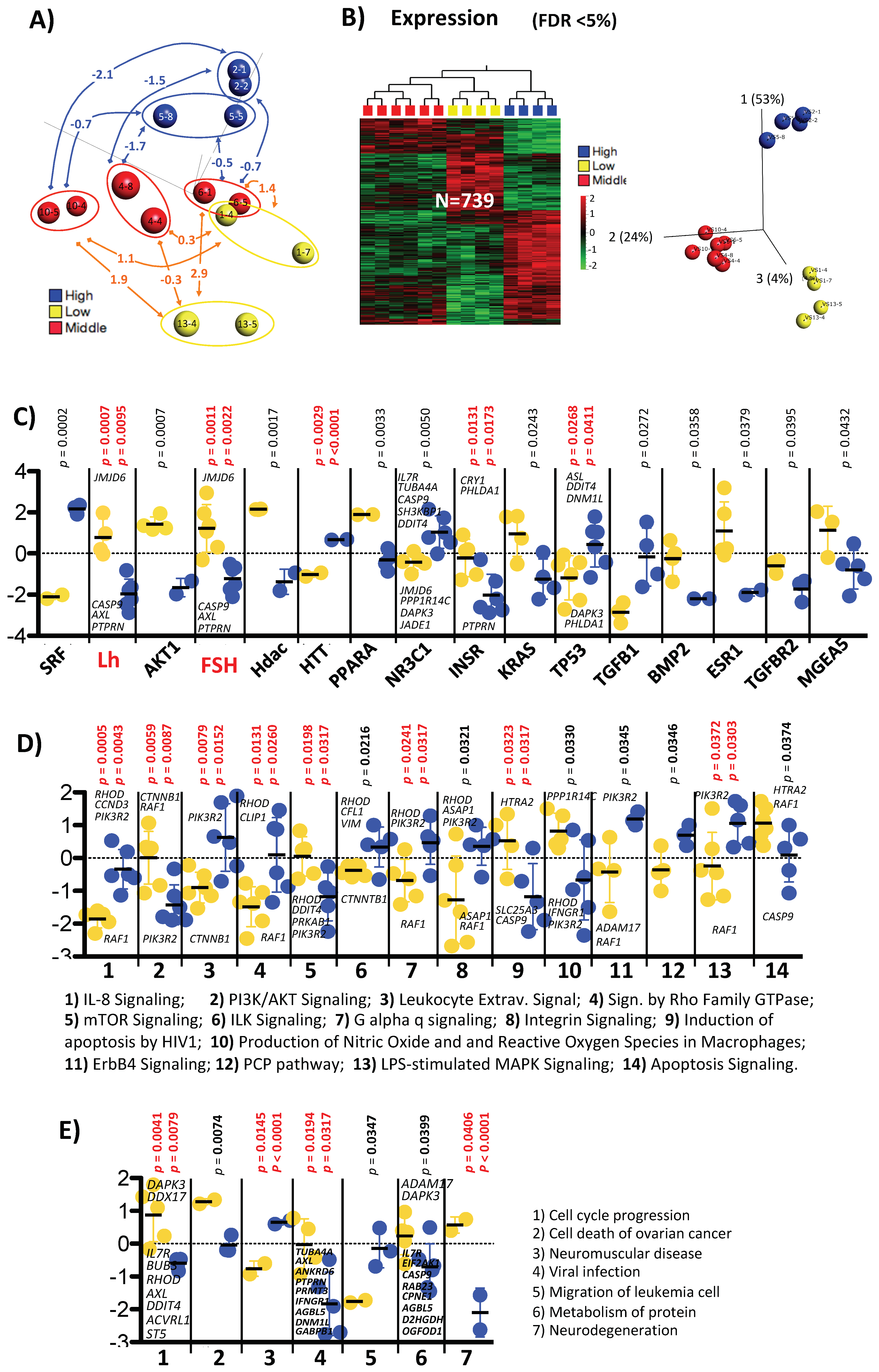Ijms 22 06377 g003 Ijms 22 06377 g003