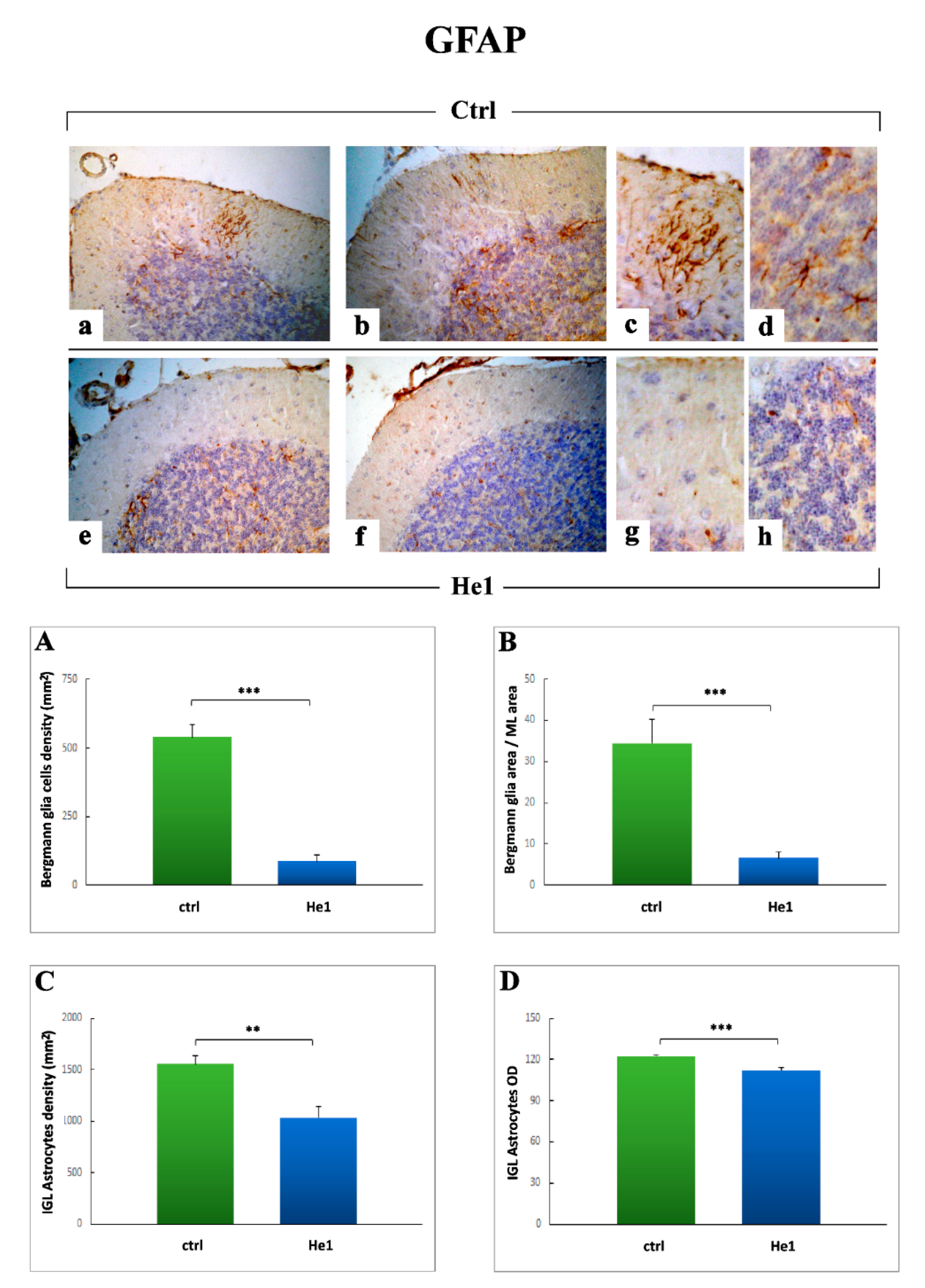 Ijms 22 06379 g008 Ijms 22 06379 g008