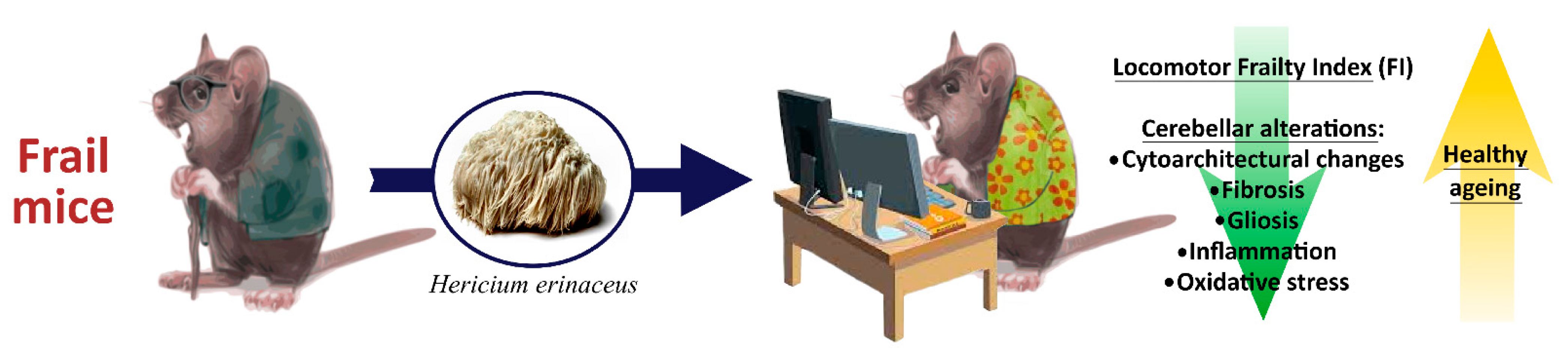 Ijms 22 06379 g015 Ijms 22 06379 g015