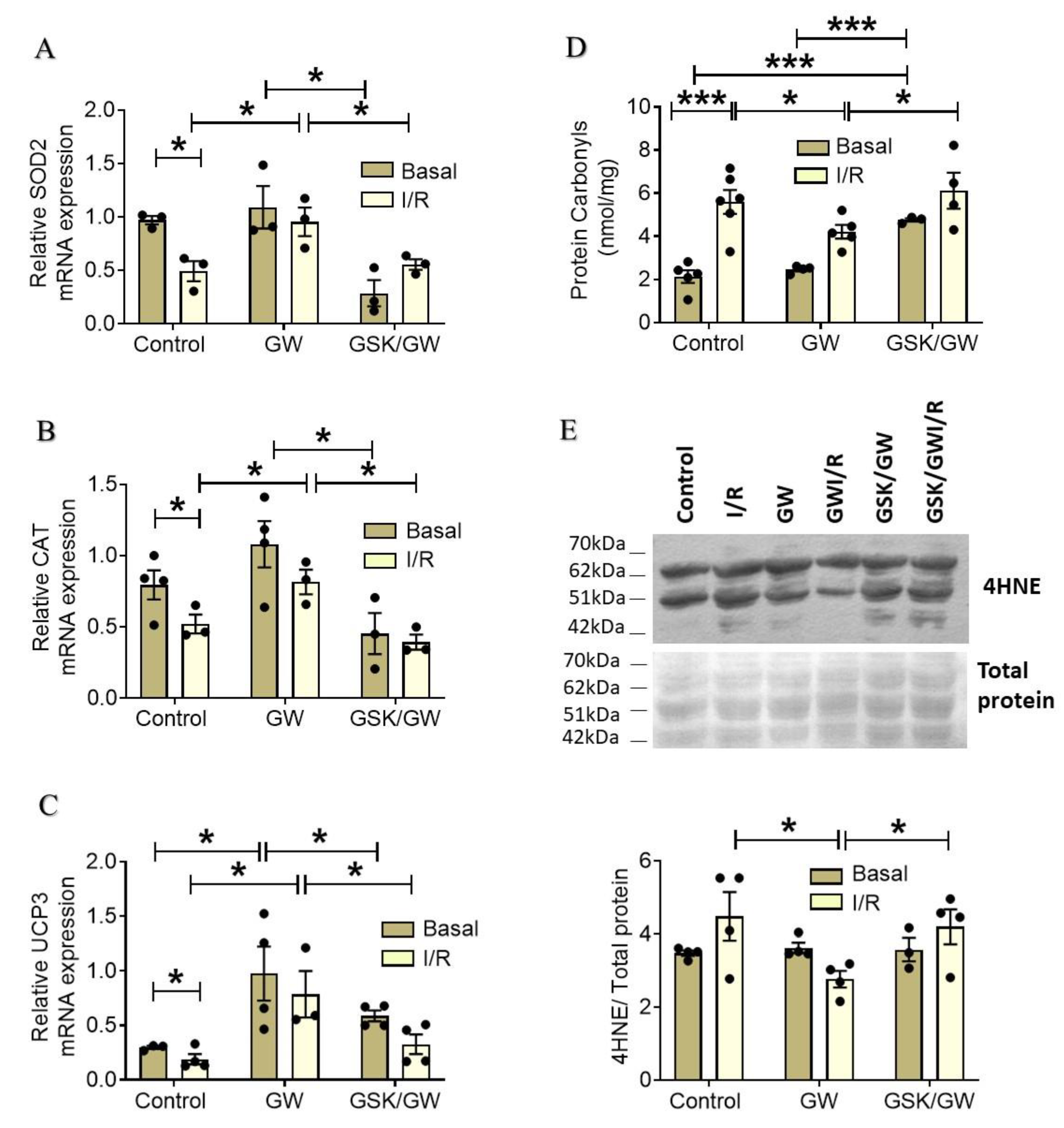 Ijms 22 06399 g003 Ijms 22 06399 g003