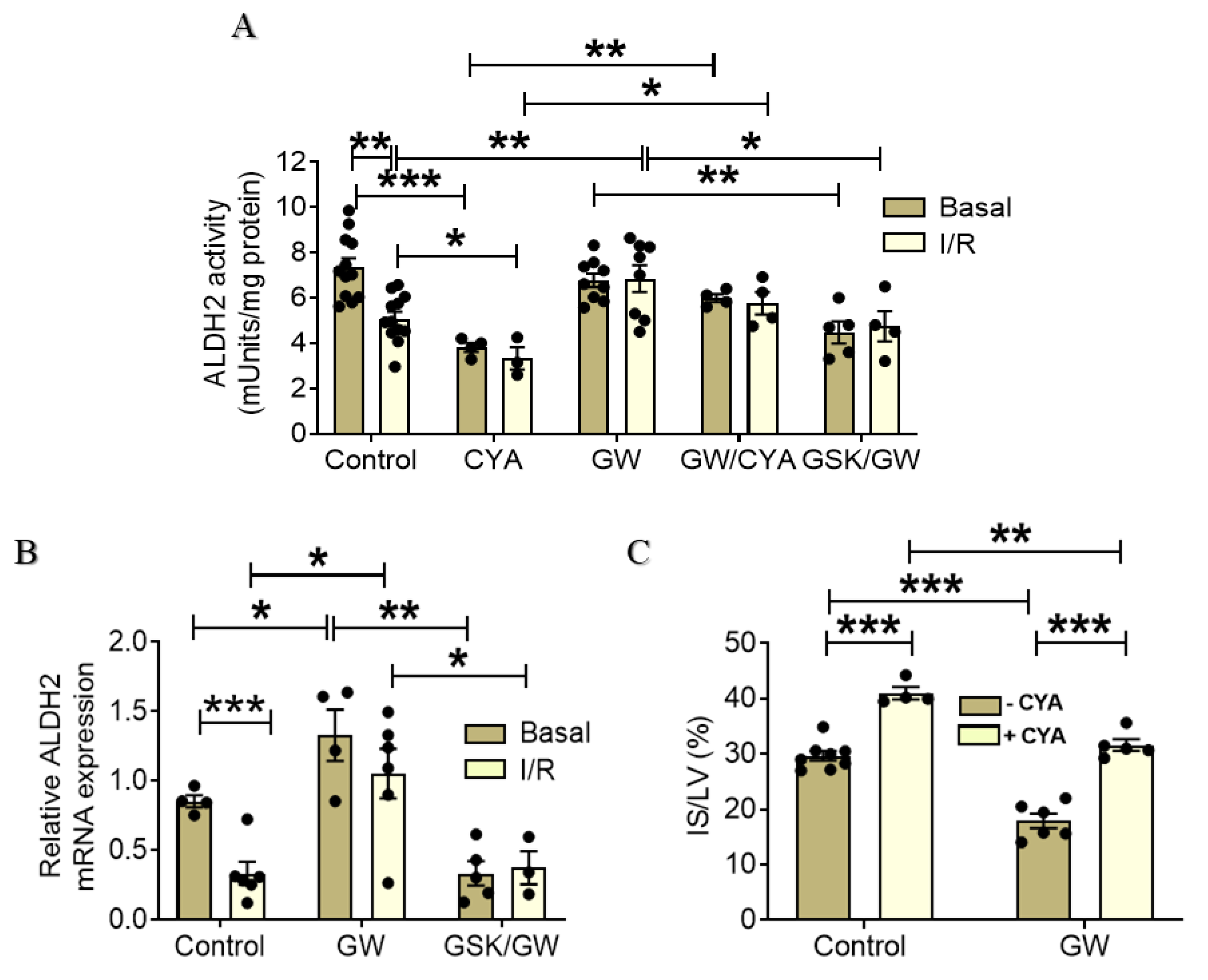 Ijms 22 06399 g004 Ijms 22 06399 g004