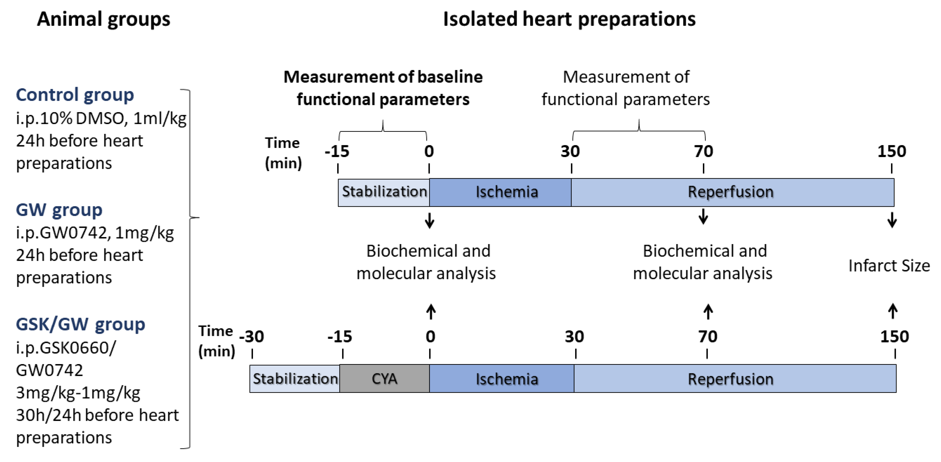 Ijms 22 06399 g007 Ijms 22 06399 g007