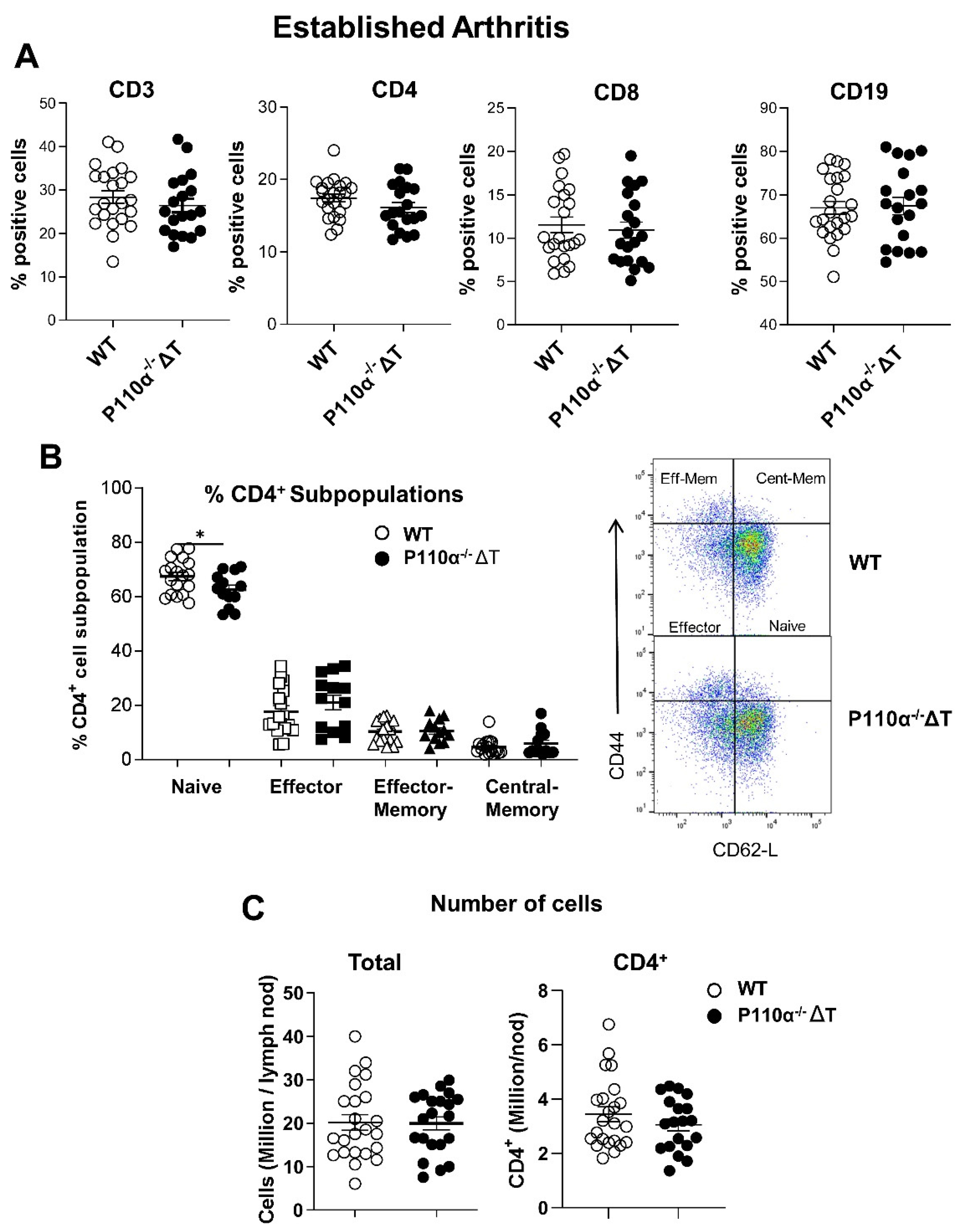 Ijms 22 06405 g004 Ijms 22 06405 g004