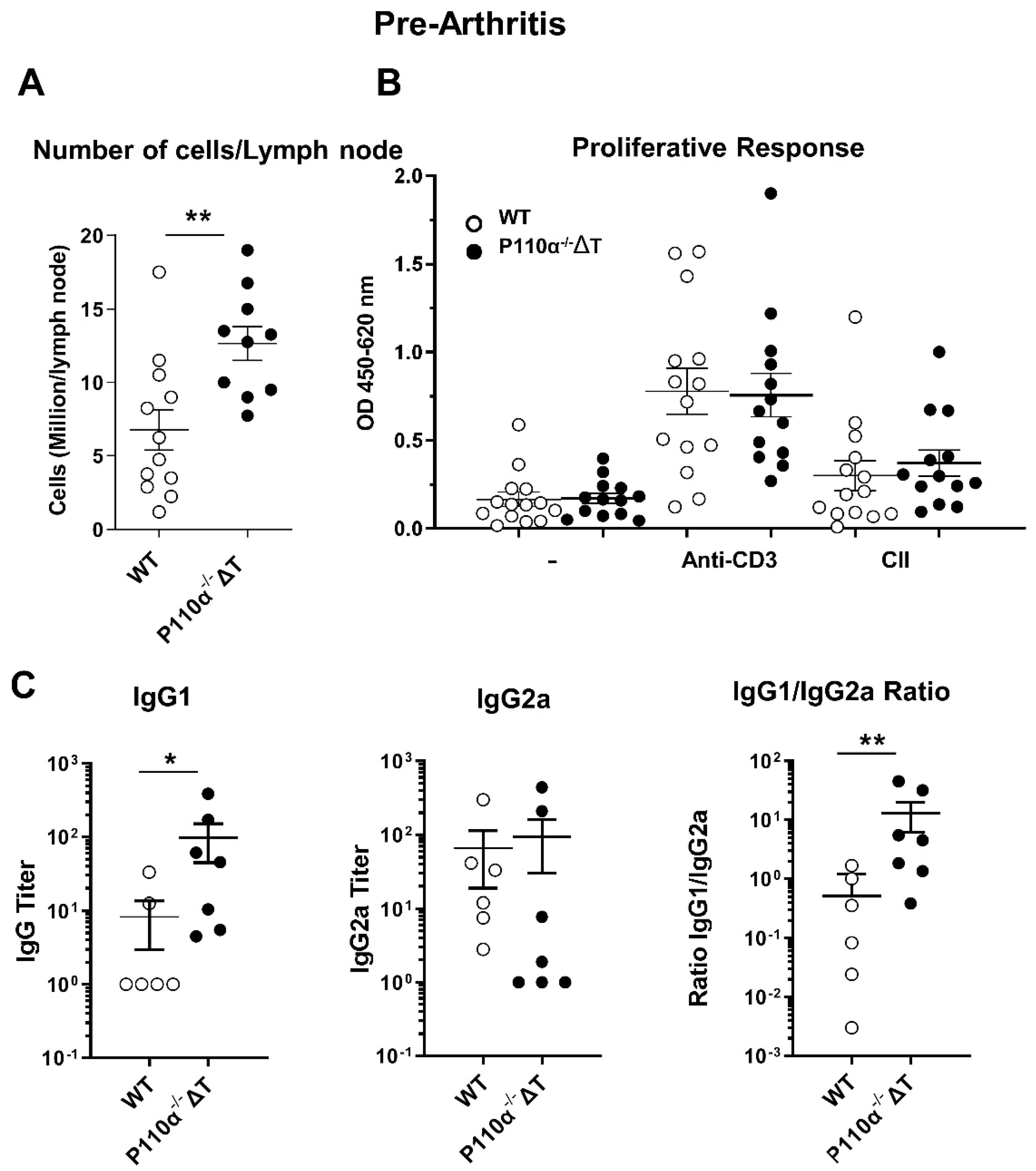 Ijms 22 06405 g005 Ijms 22 06405 g005