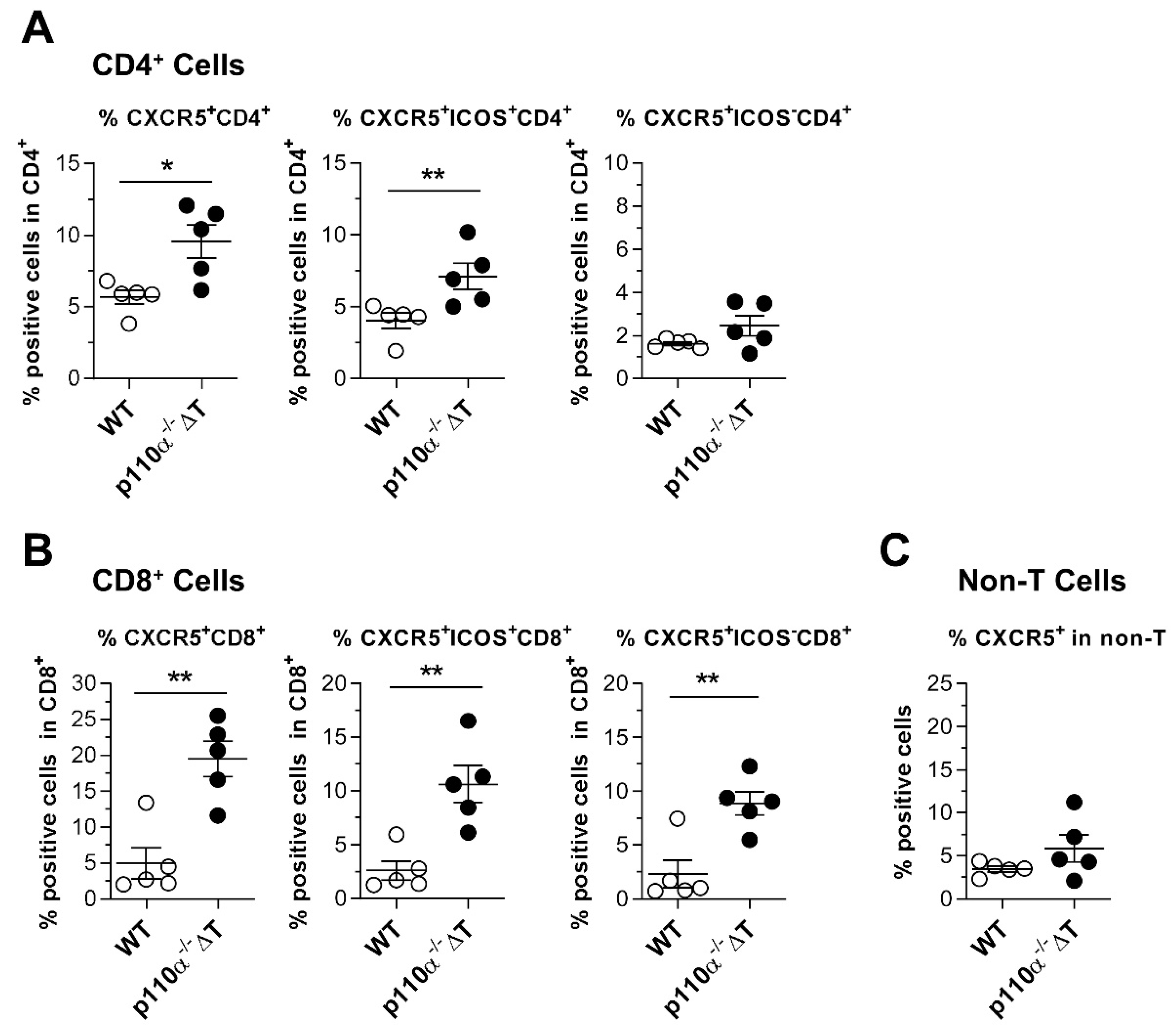 Ijms 22 06405 g008 Ijms 22 06405 g008