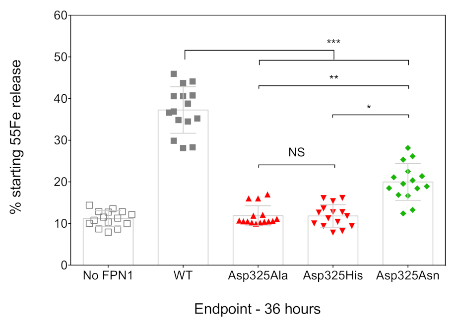 Ijms 22 06412 g002 Ijms 22 06412 g002