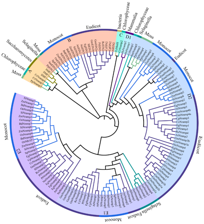Ijms 22 06414 g001 Ijms 22 06414 g001