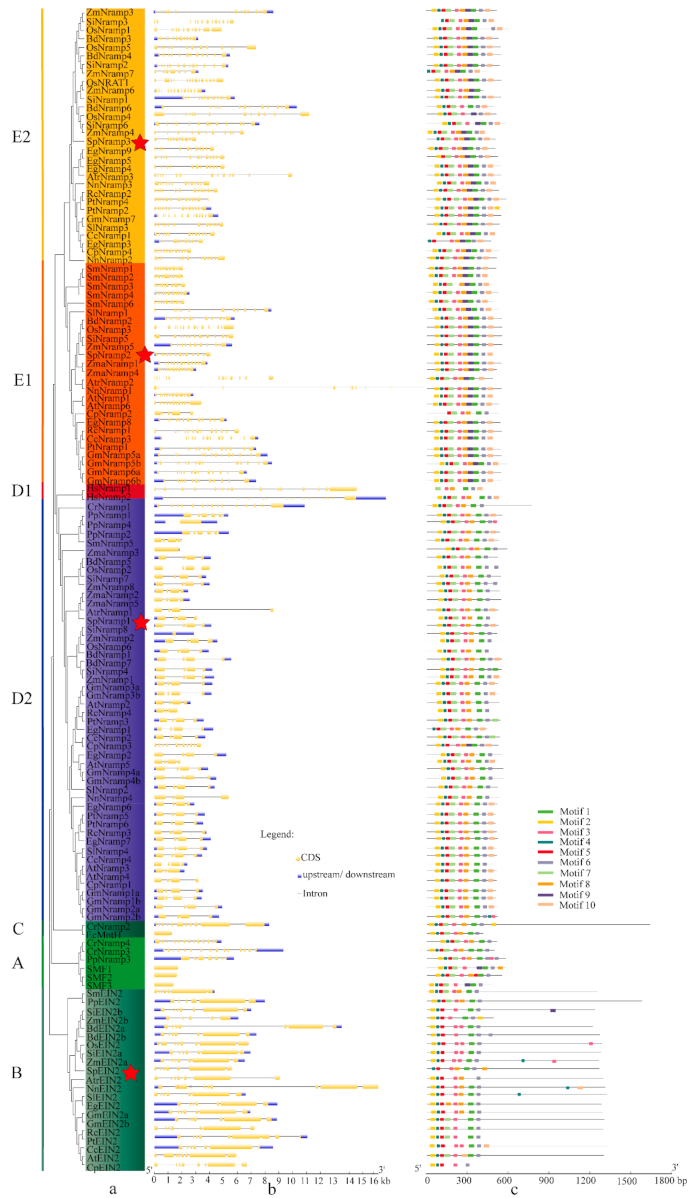 Ijms 22 06414 g002 Ijms 22 06414 g002