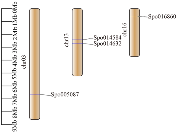 Ijms 22 06414 g003 Ijms 22 06414 g003