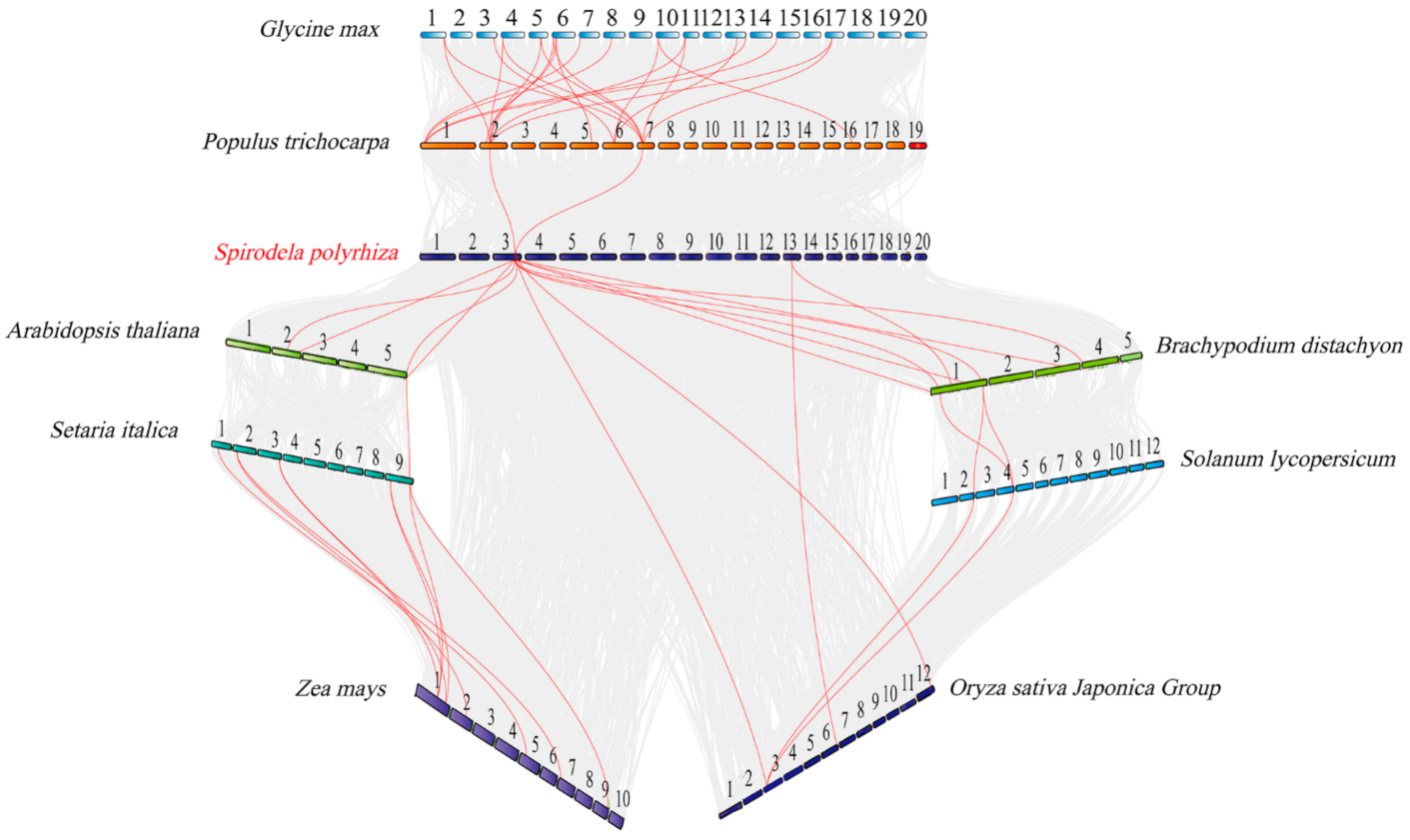 Ijms 22 06414 g004 Ijms 22 06414 g004