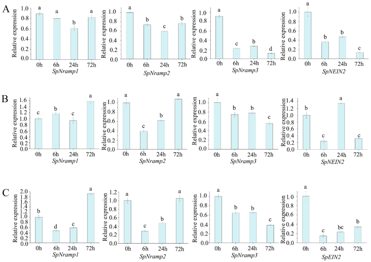 Ijms 22 06414 g007 Ijms 22 06414 g007