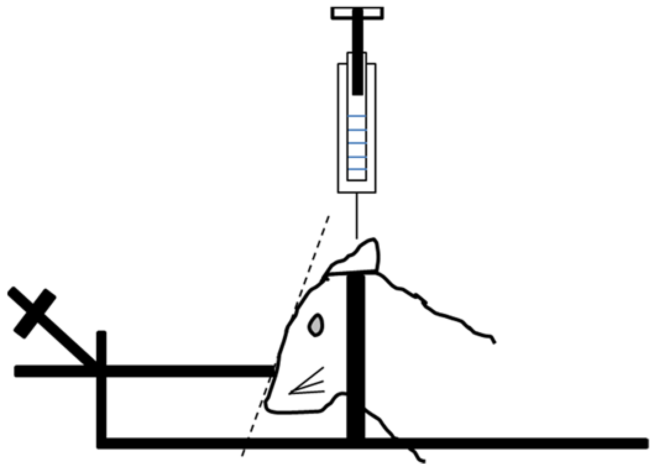 Ijms 22 06416 g006 Ijms 22 06416 g006