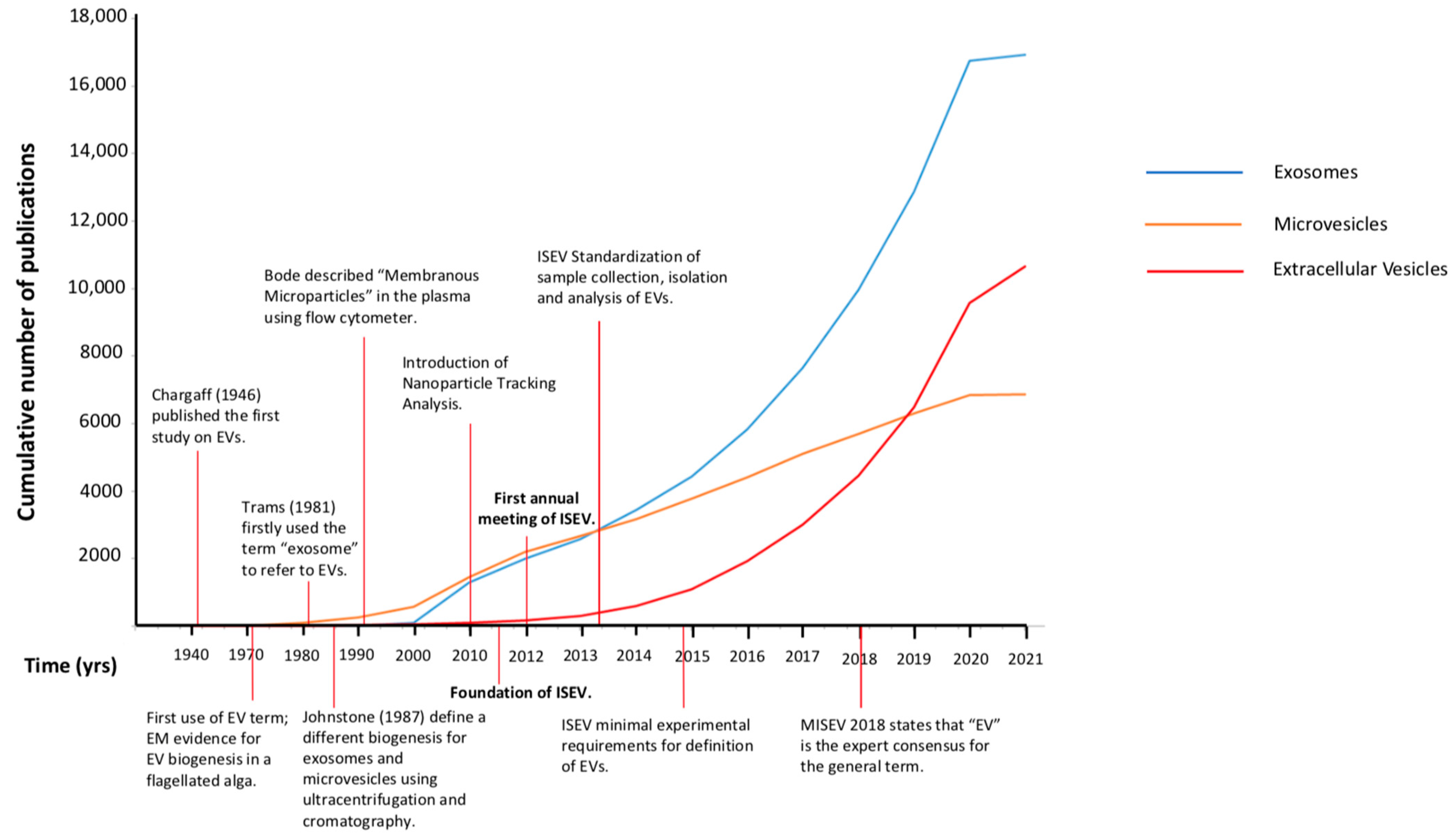 Ijms 22 06417 g002 Ijms 22 06417 g002