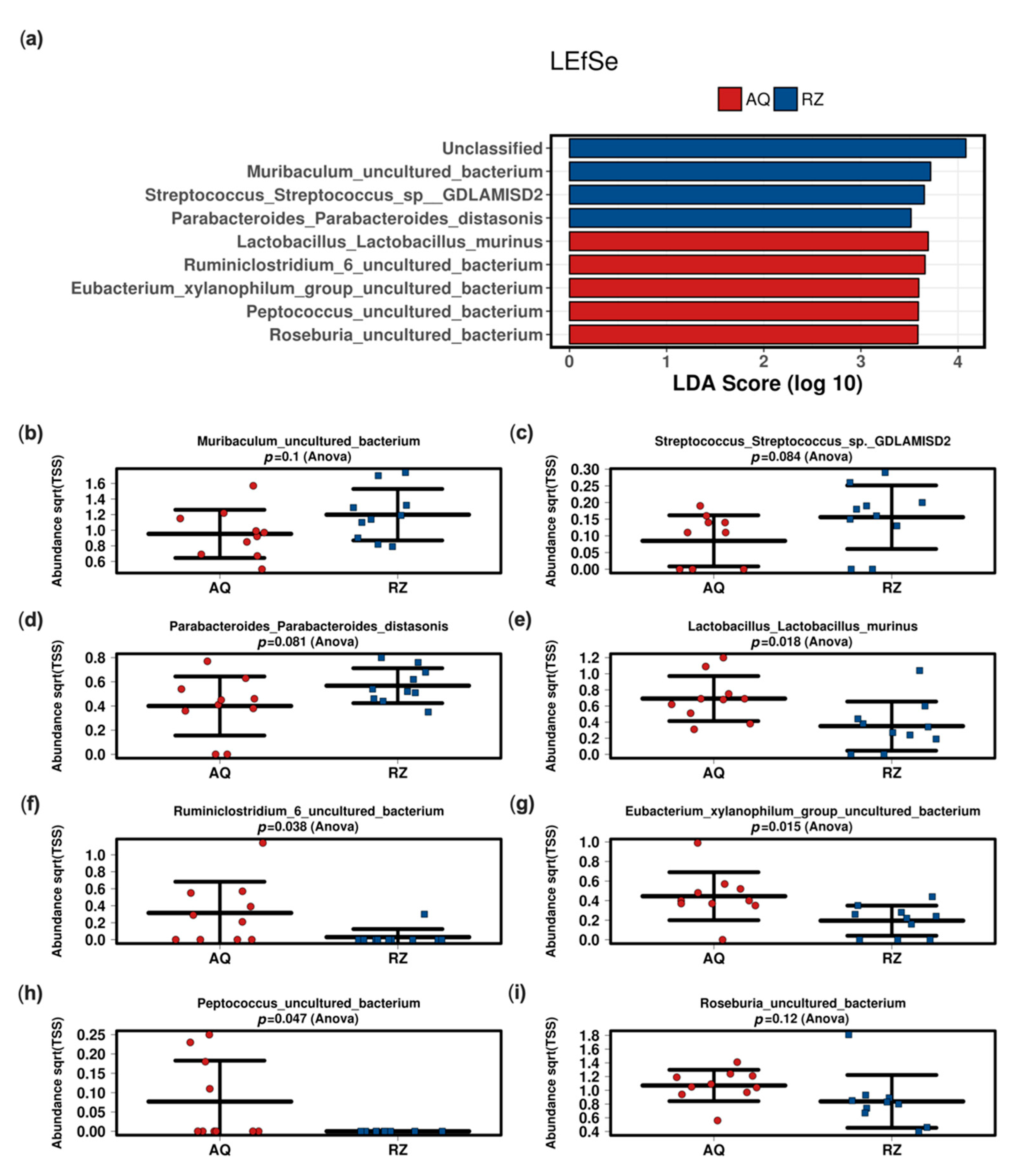 Ijms 22 06424 g003 Ijms 22 06424 g003