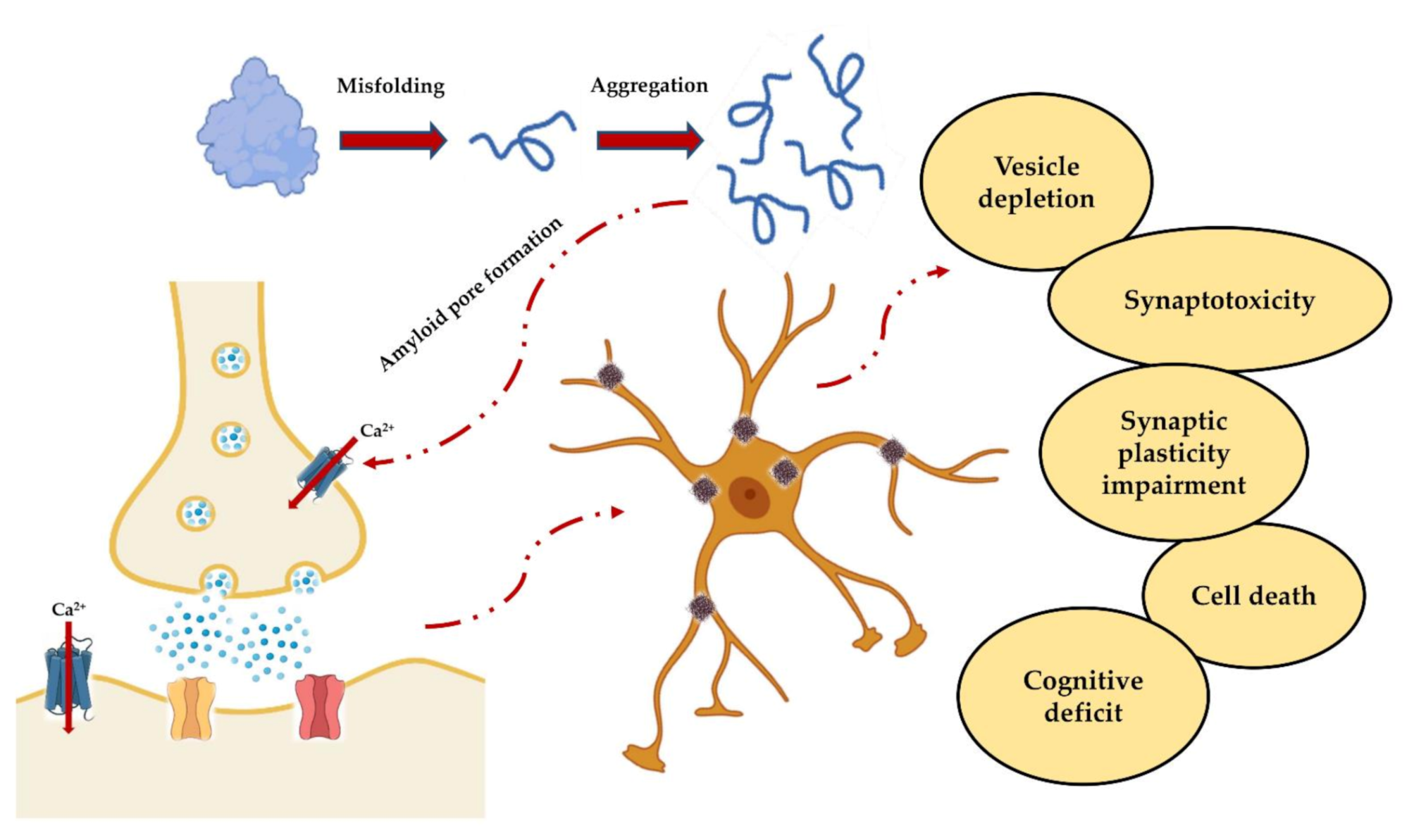 Ijms 22 06435 g005 Ijms 22 06435 g005