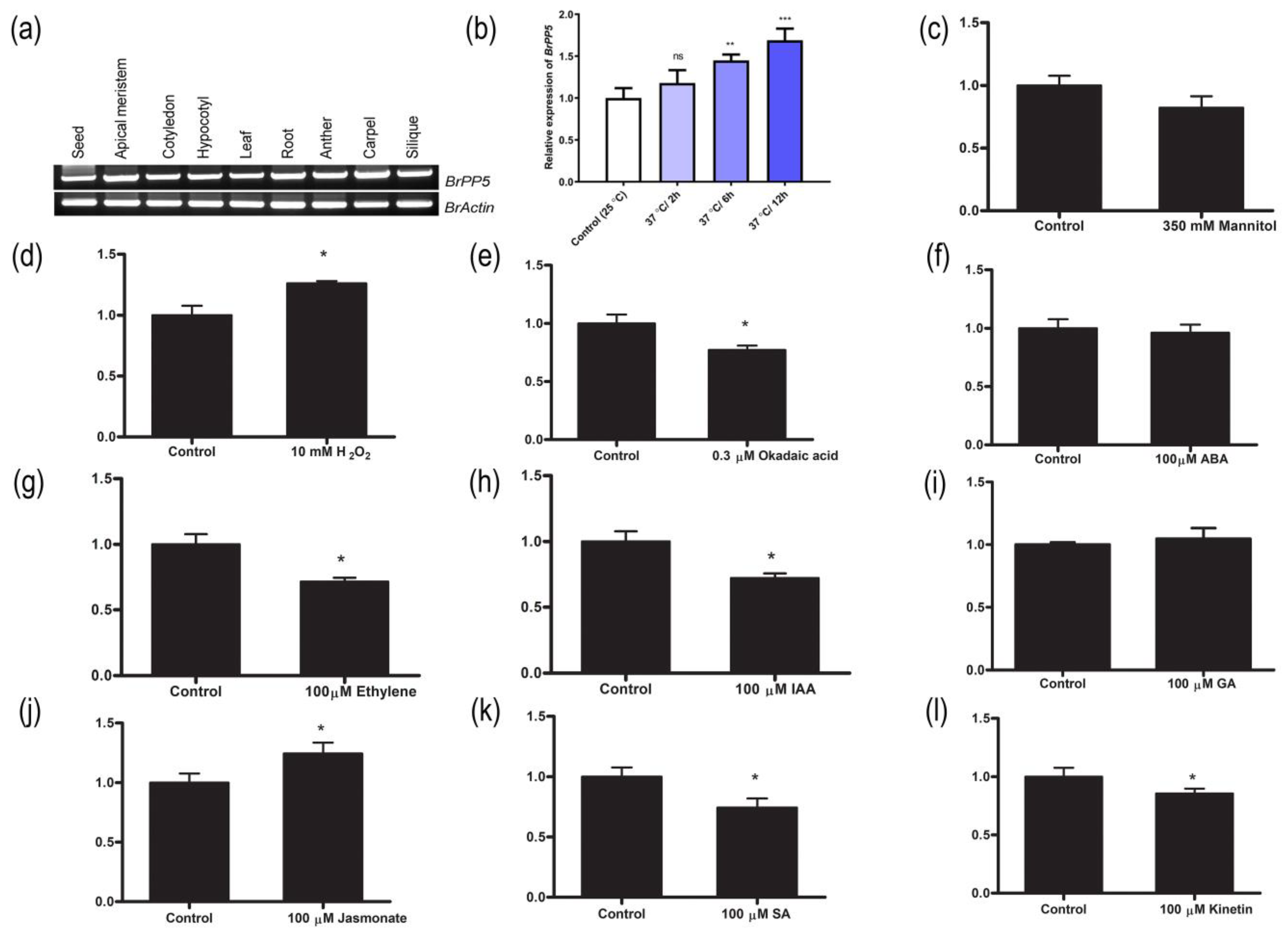 Ijms 22 06437 g001 Ijms 22 06437 g001