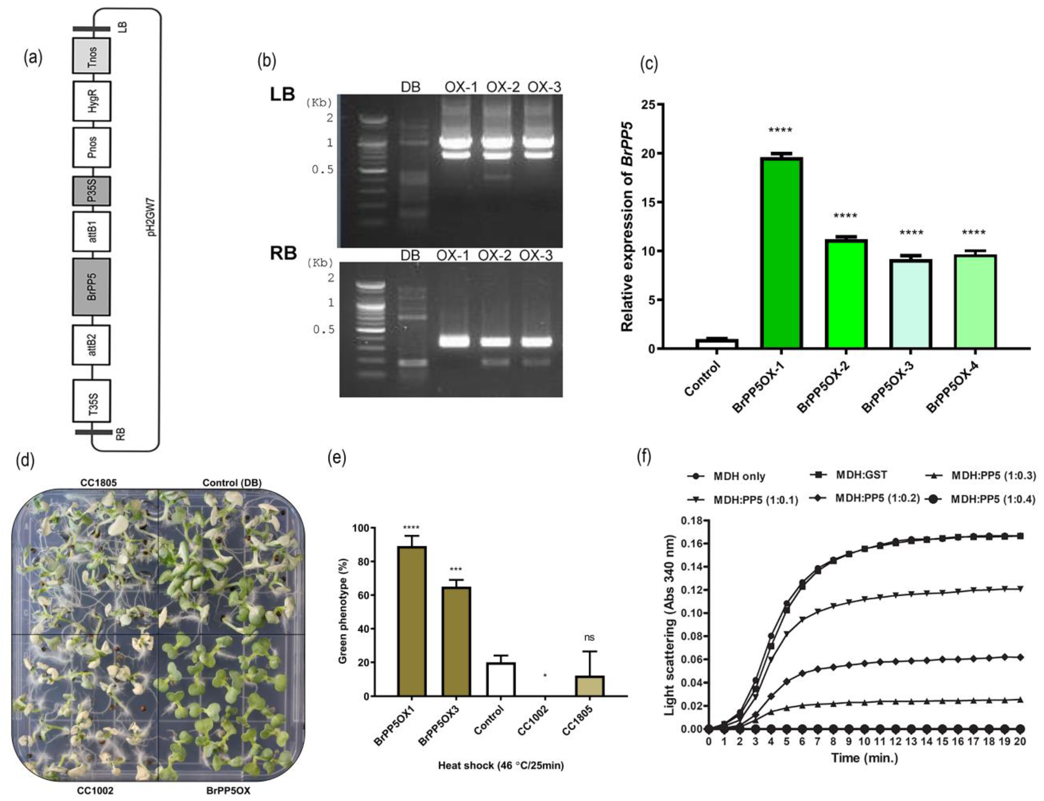 Ijms 22 06437 g002 Ijms 22 06437 g002