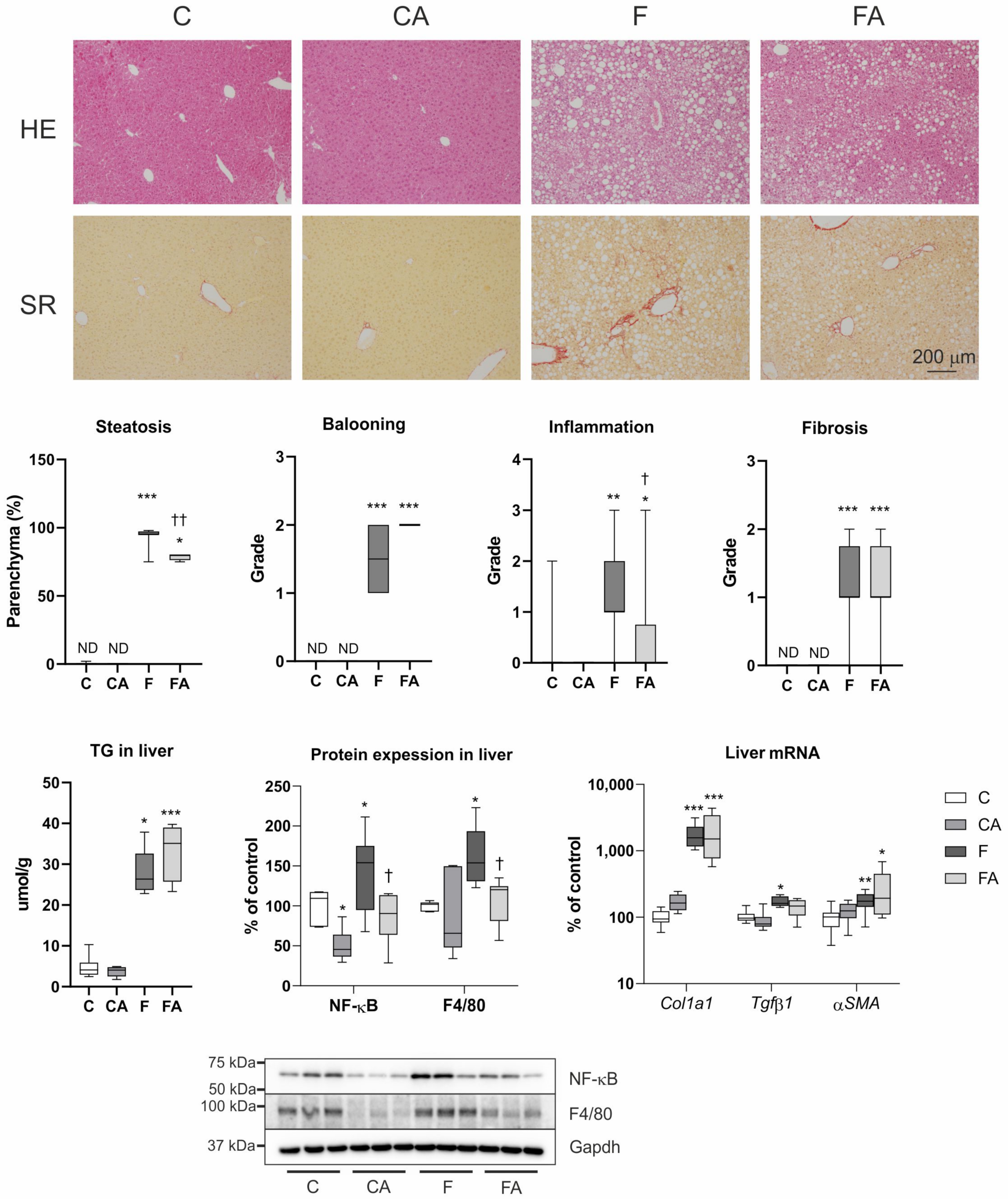 Ijms 22 06468 g002 Ijms 22 06468 g002