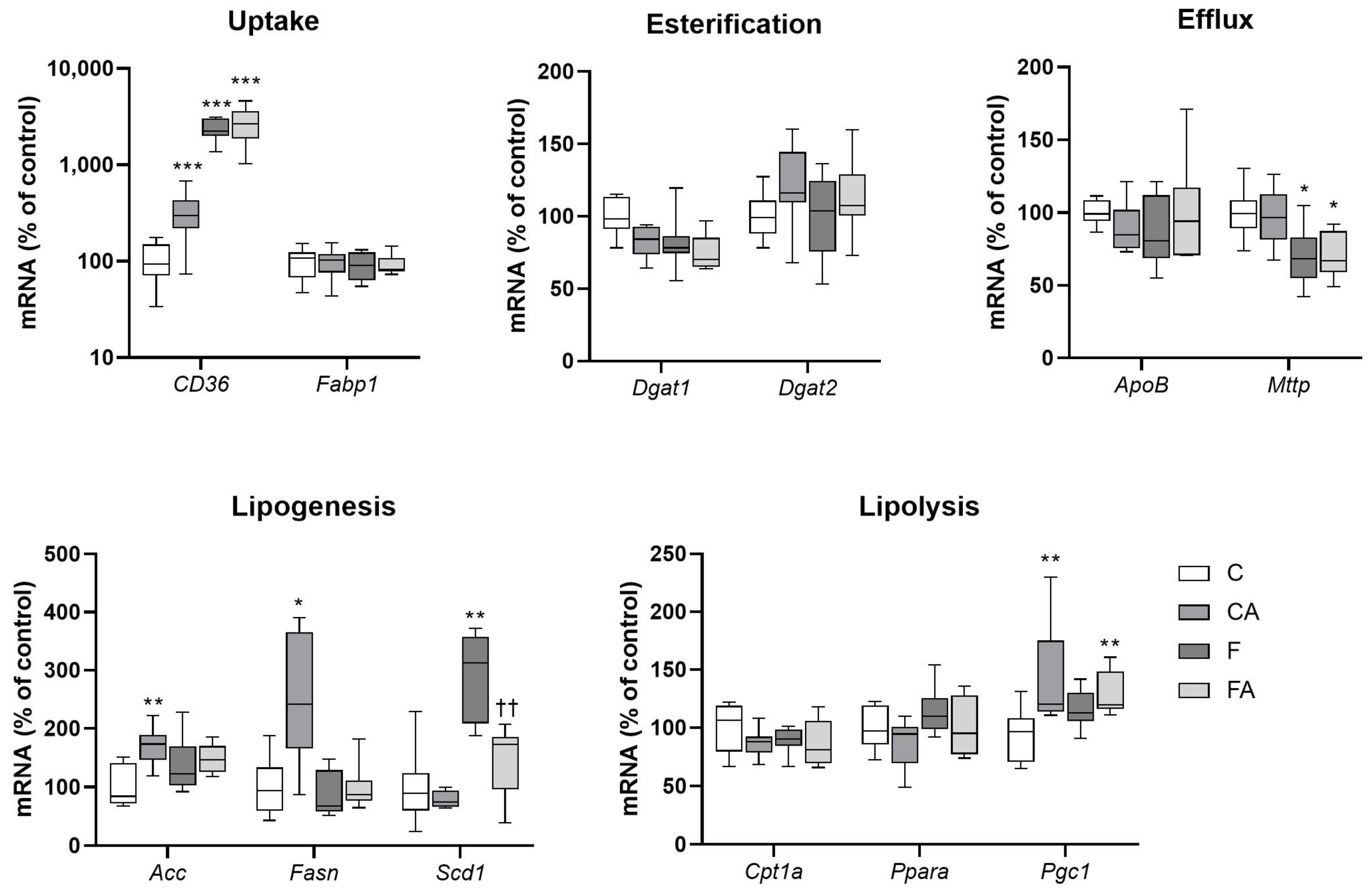 Ijms 22 06468 g003 Ijms 22 06468 g003