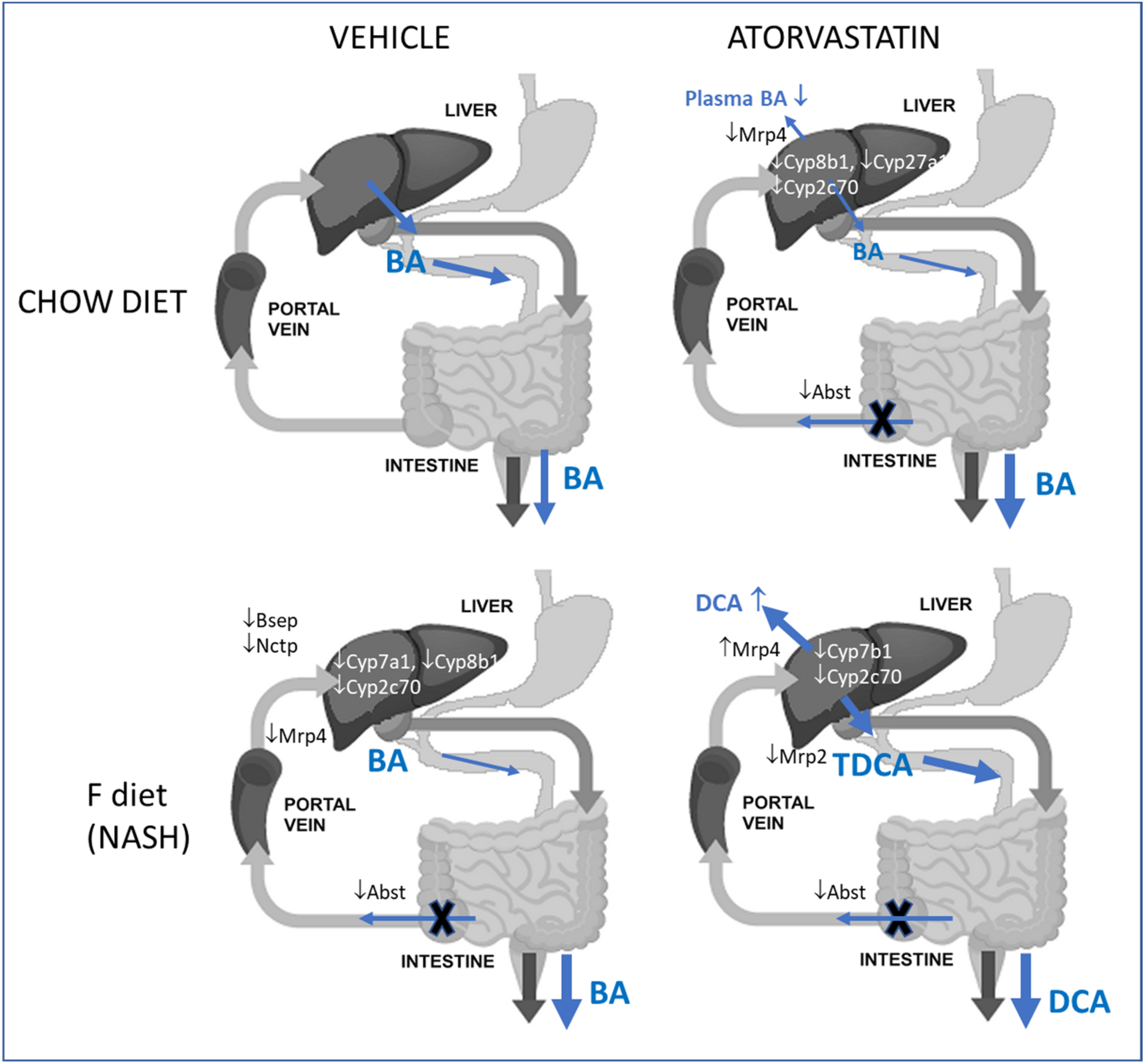 Ijms 22 06468 g008 Ijms 22 06468 g008