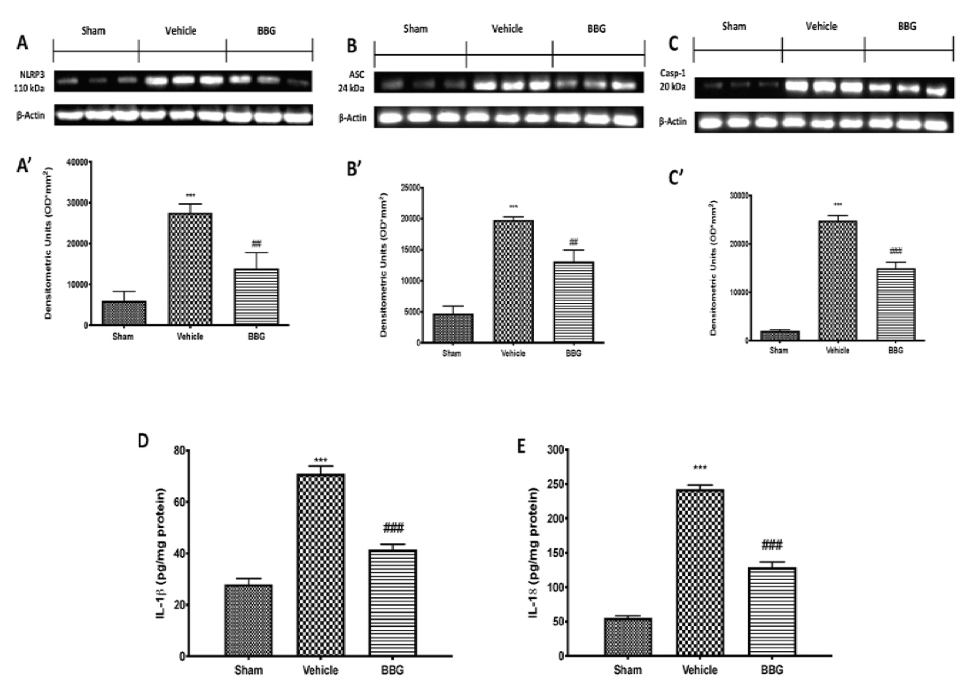 Ijms 22 06471 g003 Ijms 22 06471 g003