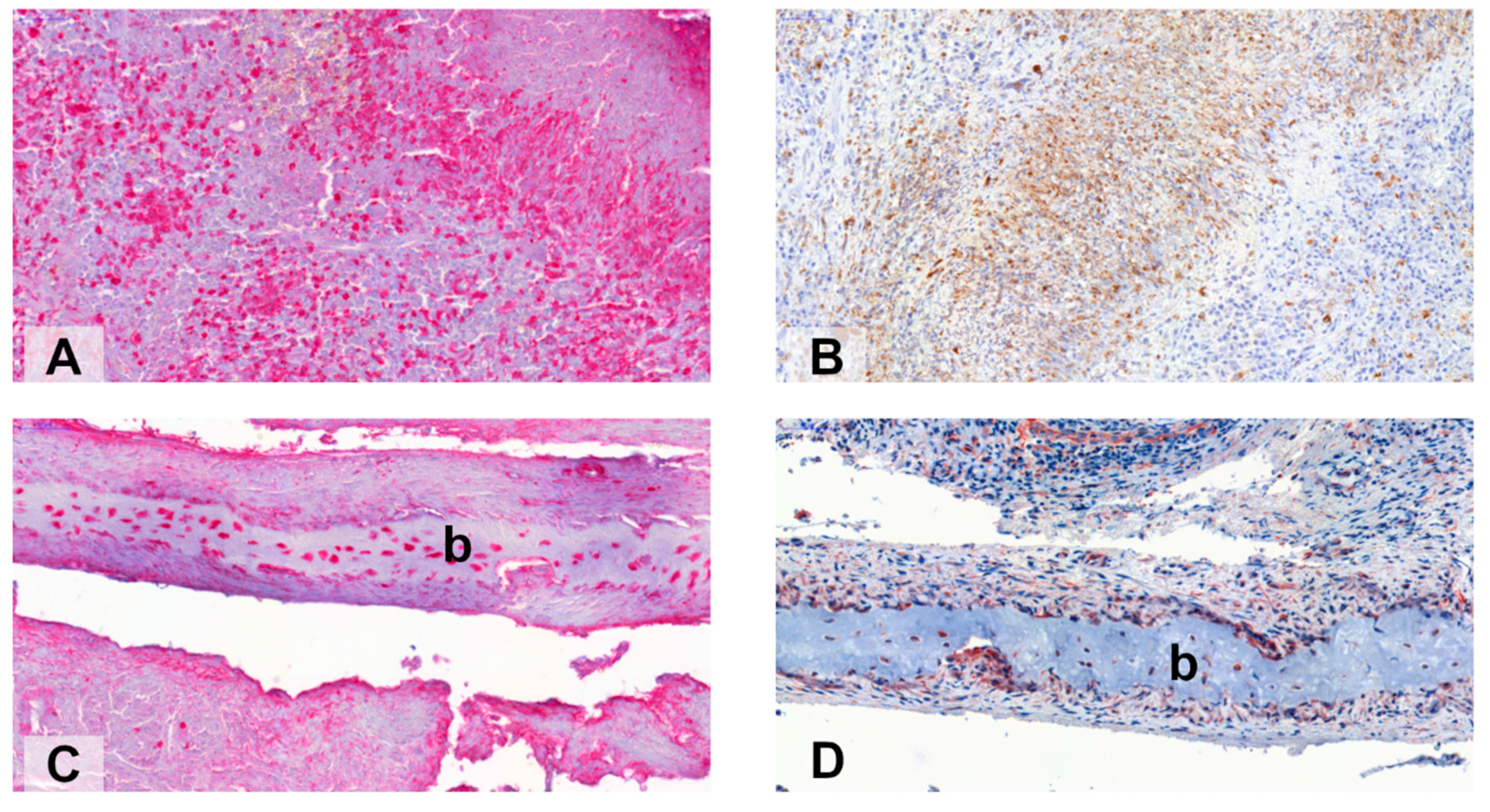 Ijms 22 06474 g002 Ijms 22 06474 g002