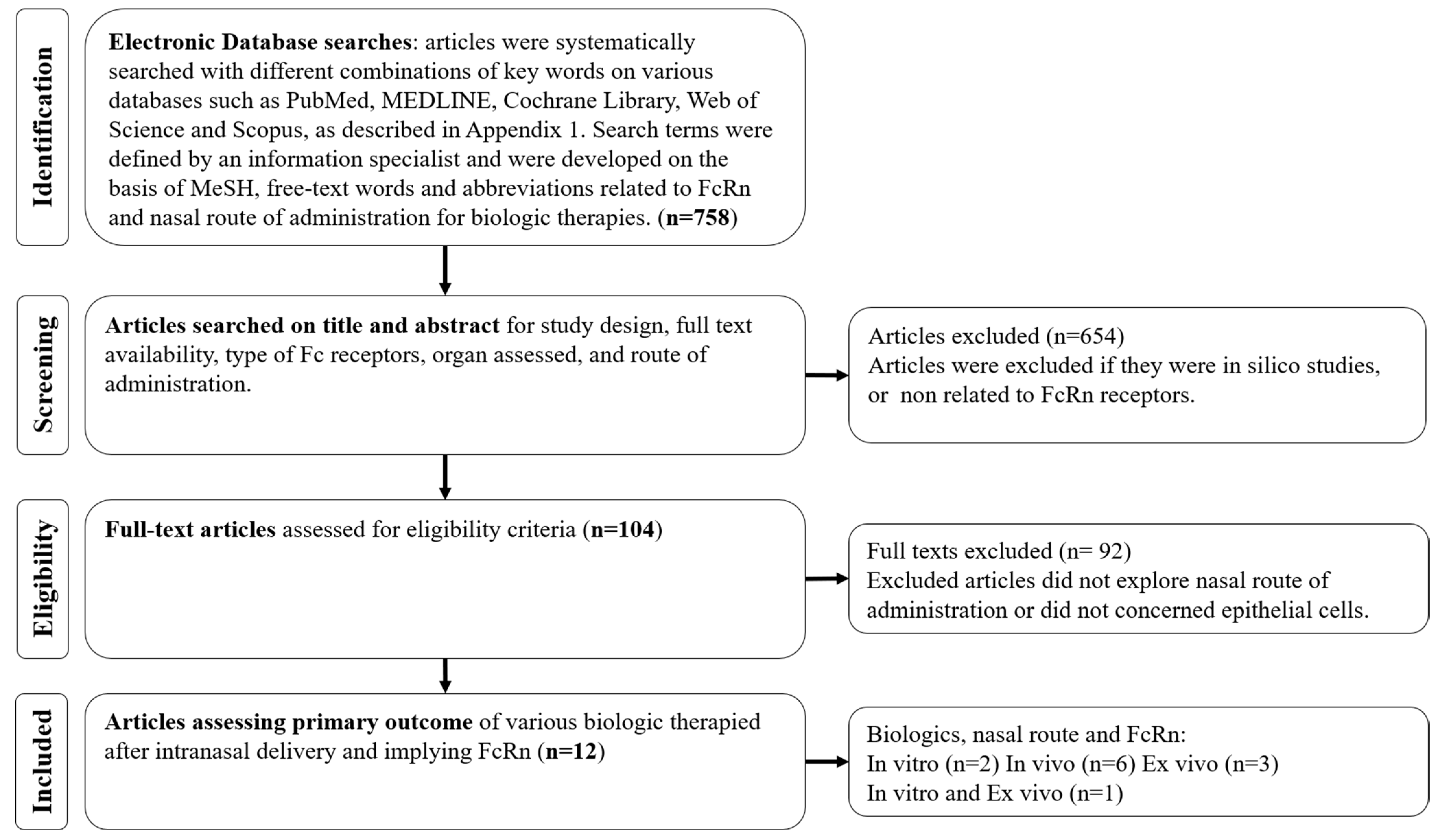 ijms free full text fcrn as a transporter for nasal delivery of biologics a systematic review html
