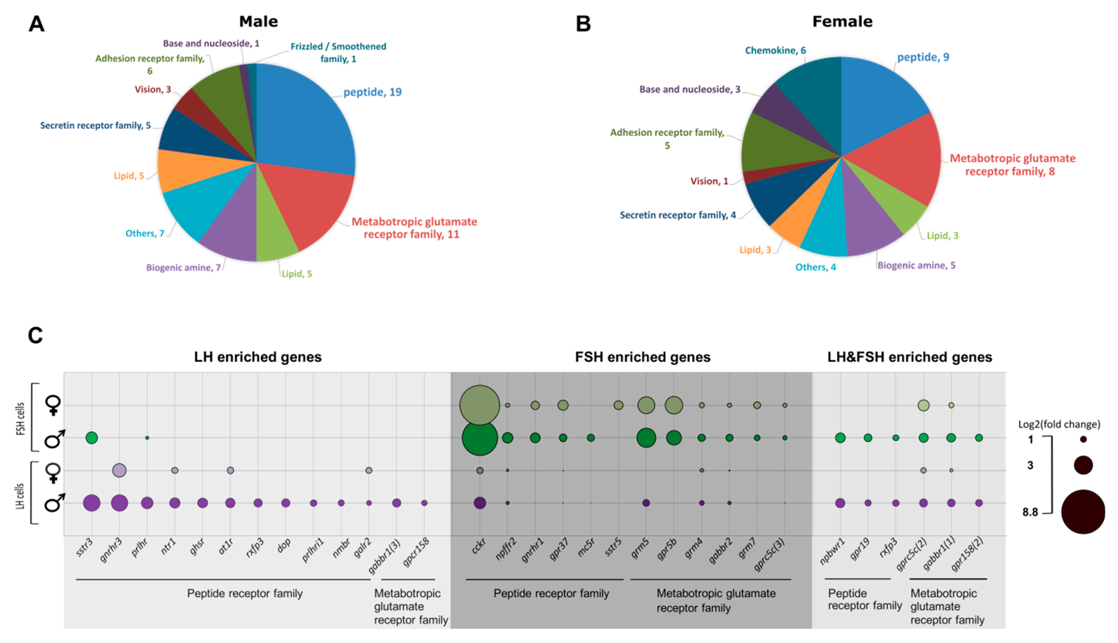 Ijms Free Full Text Differential Regulation Of Gonadotropins As Revealed By Transcriptomes Of Distinct Lh And Fsh Cells Of Fish Pituitary Html