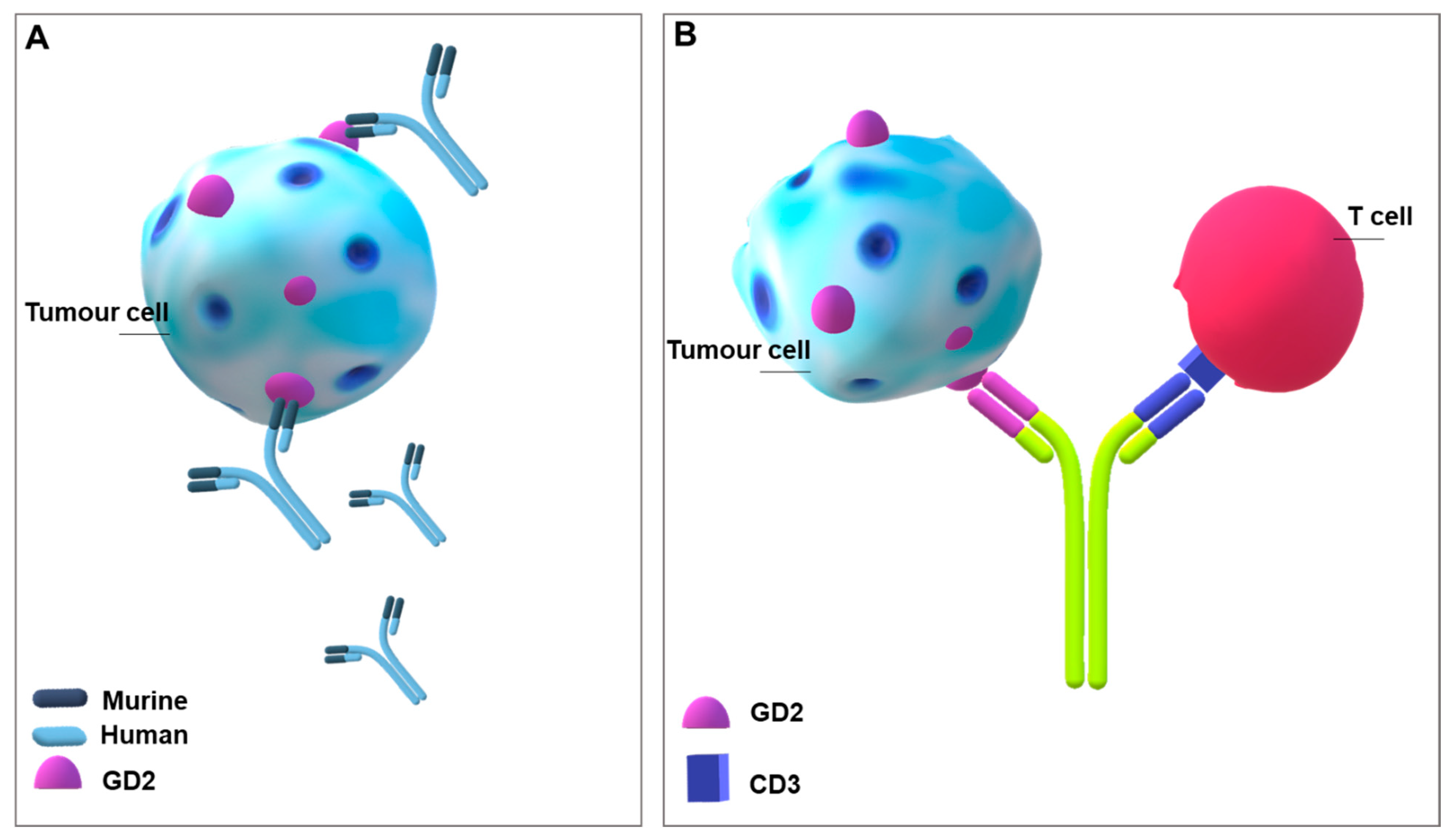 Ijms 22 06492 g003 Ijms 22 06492 g003