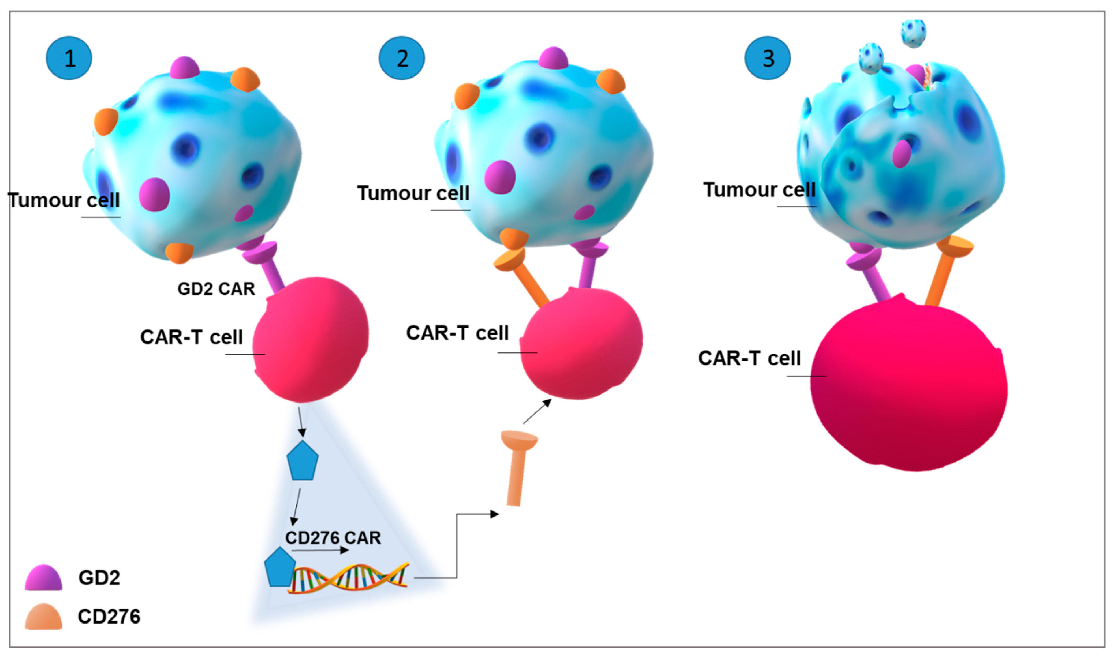 Ijms 22 06492 g004 Ijms 22 06492 g004
