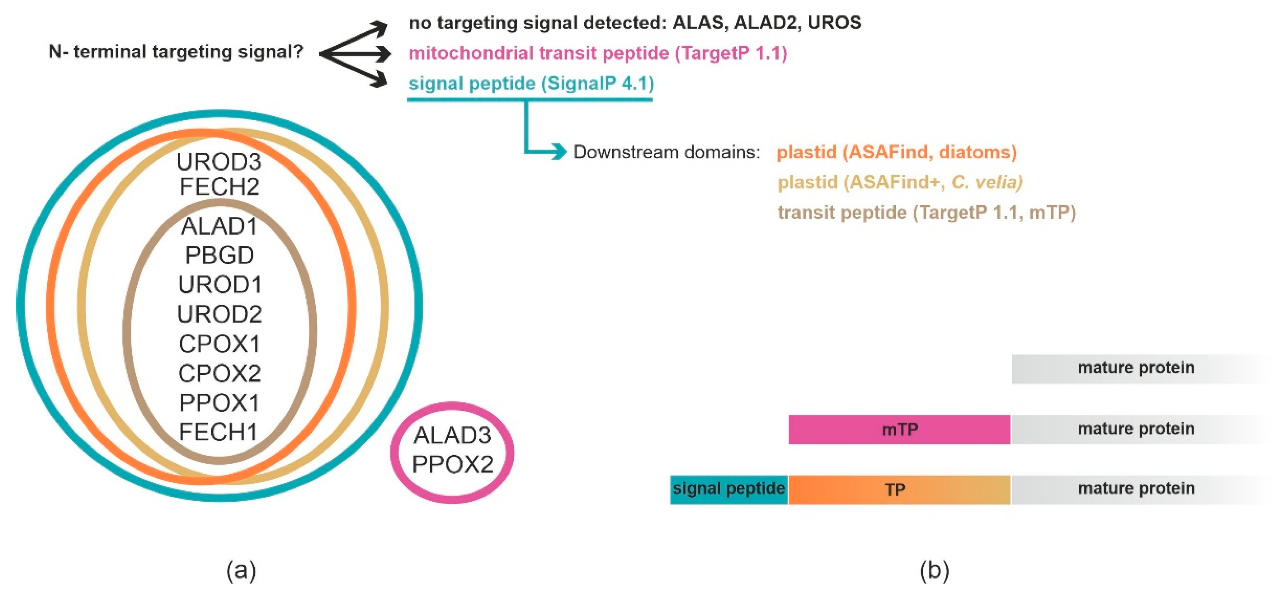 Ijms 22 06495 g002 Ijms 22 06495 g002