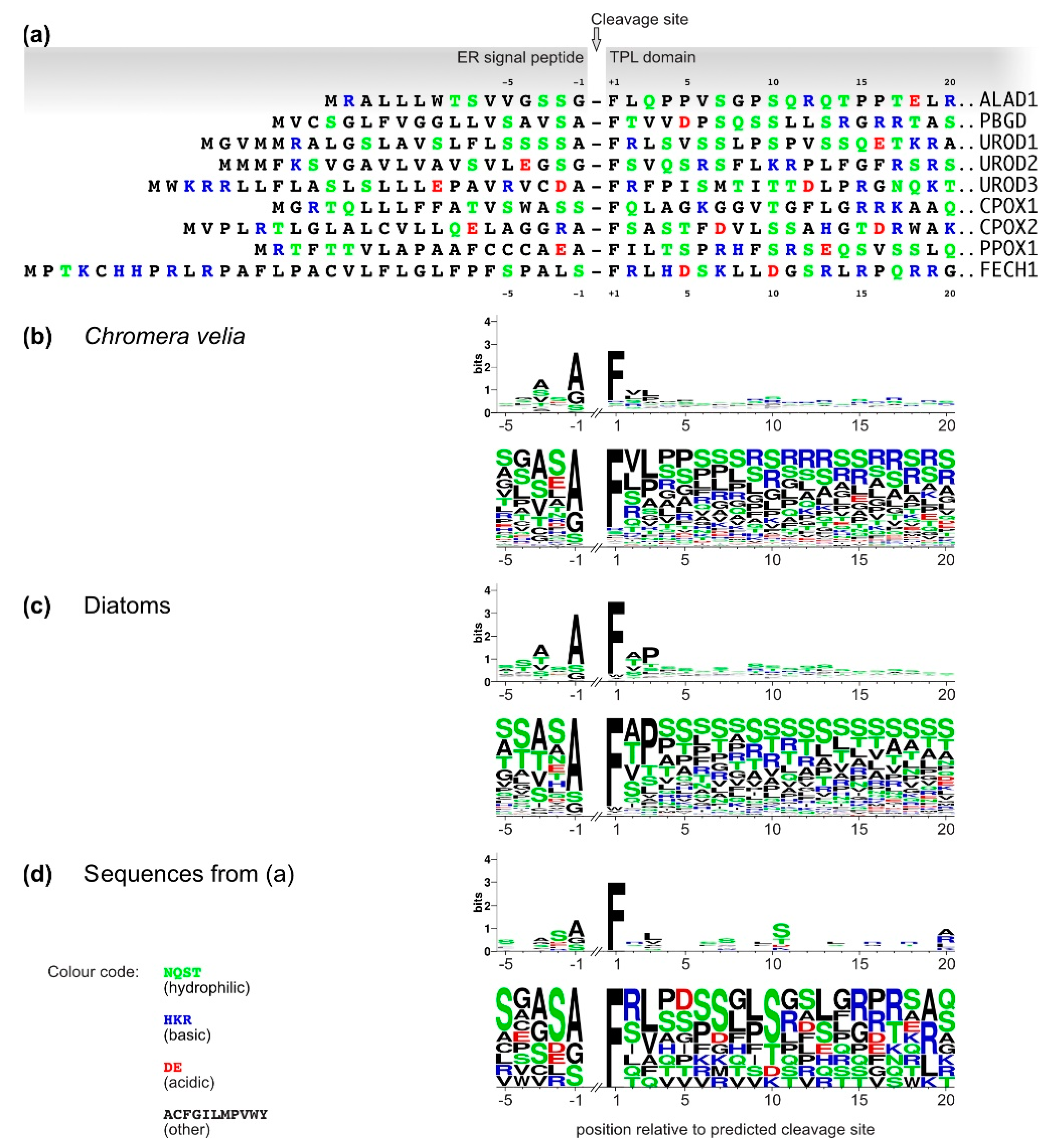 Ijms 22 06495 g003 Ijms 22 06495 g003