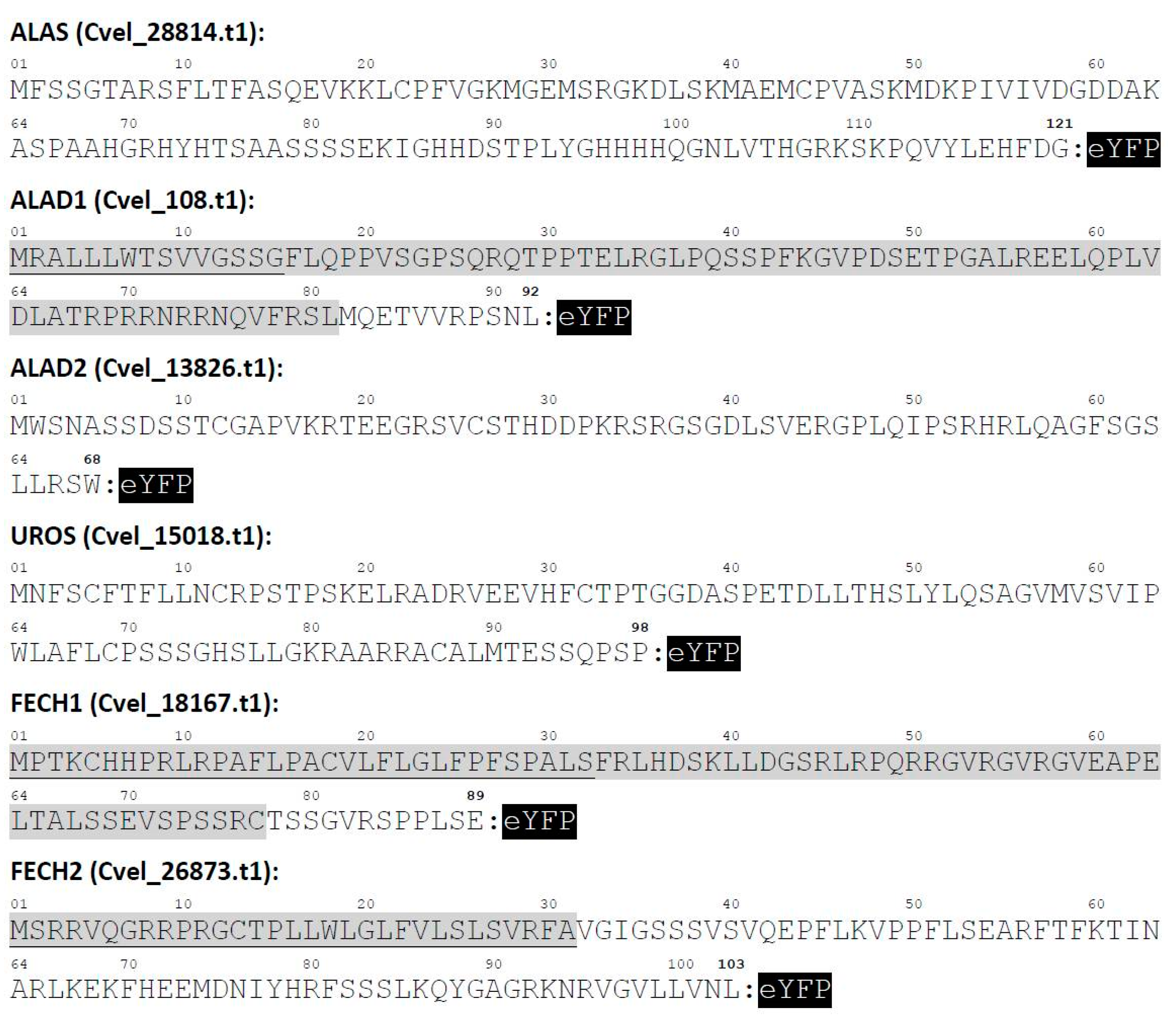 Ijms 22 06495 g004 Ijms 22 06495 g004